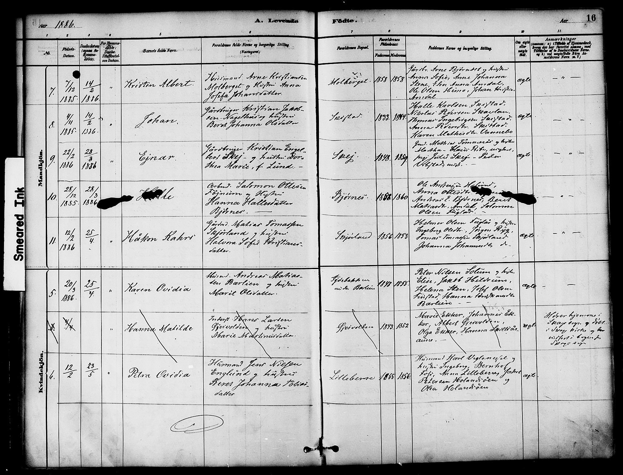 Ministerialprotokoller, klokkerbøker og fødselsregistre - Nord-Trøndelag, AV/SAT-A-1458/764/L0555: Parish register (official) no. 764A10, 1881-1896, p. 16