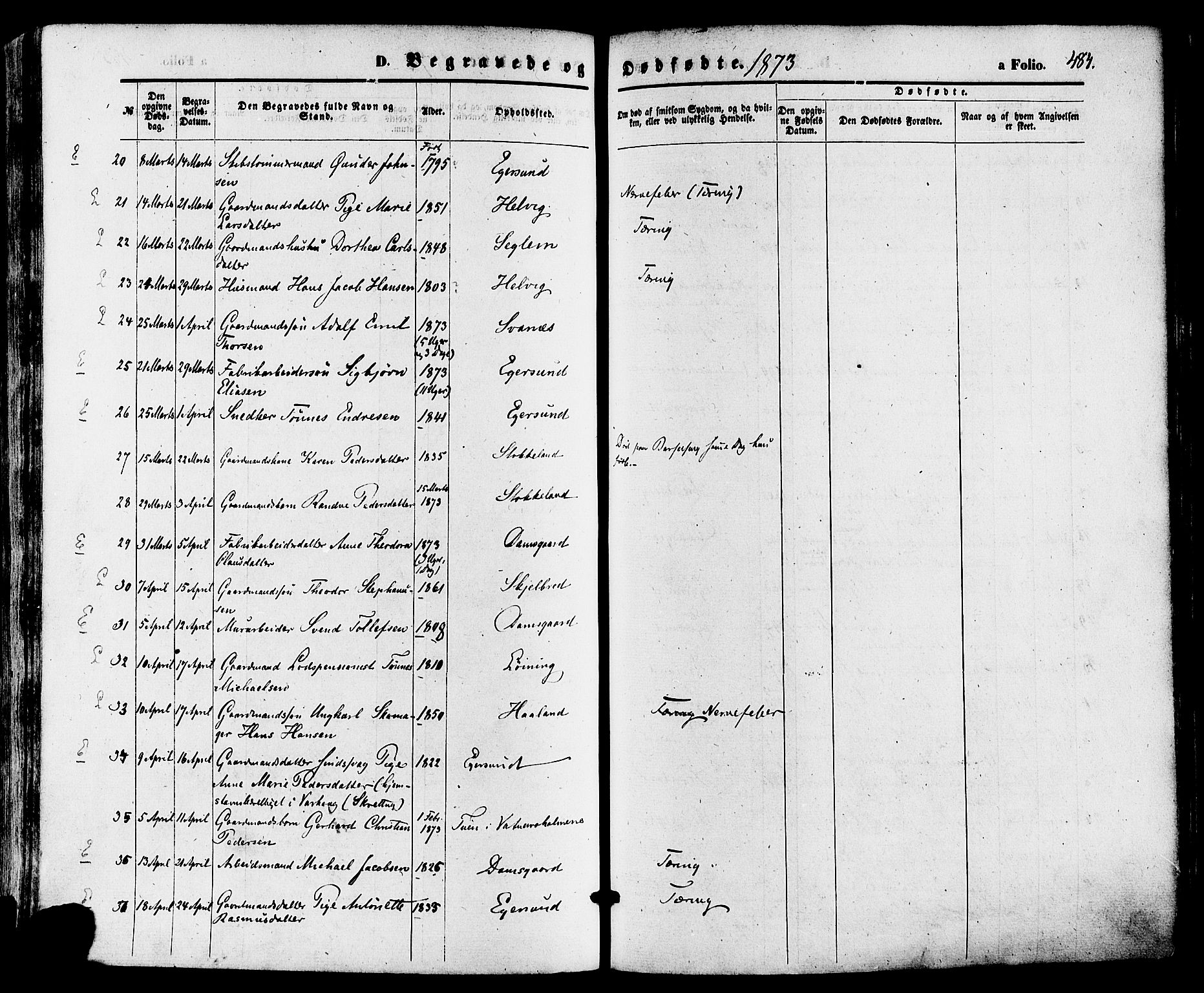 Eigersund sokneprestkontor, AV/SAST-A-101807/S08/L0014: Parish register (official) no. A 13, 1866-1878, p. 484