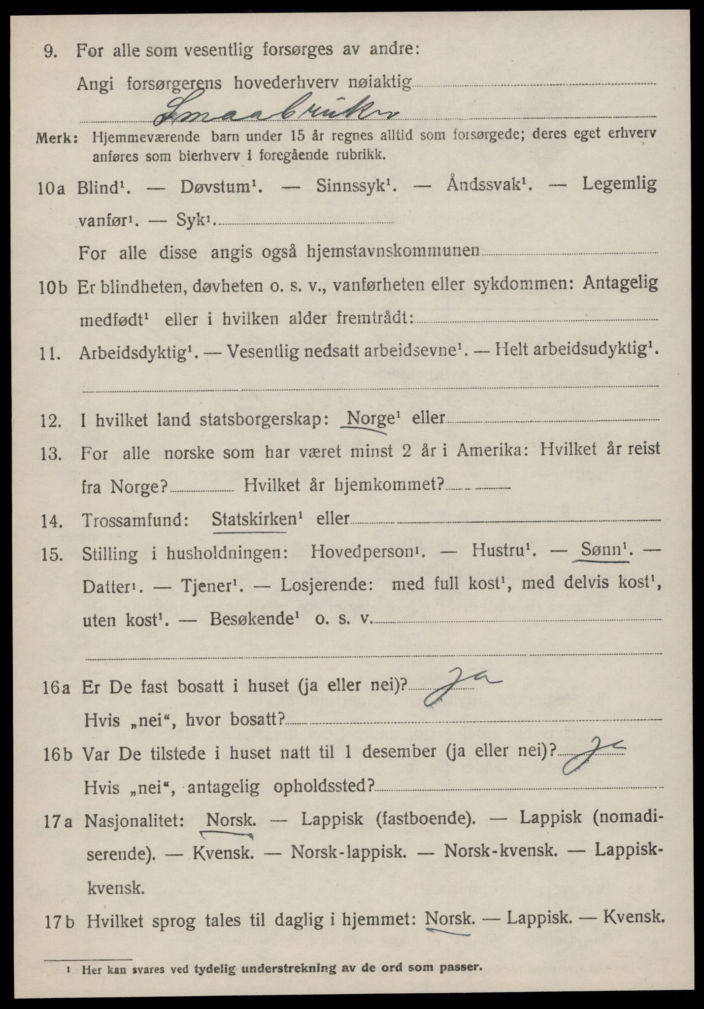 SAT, 1920 census for Hemne, 1920, p. 8413