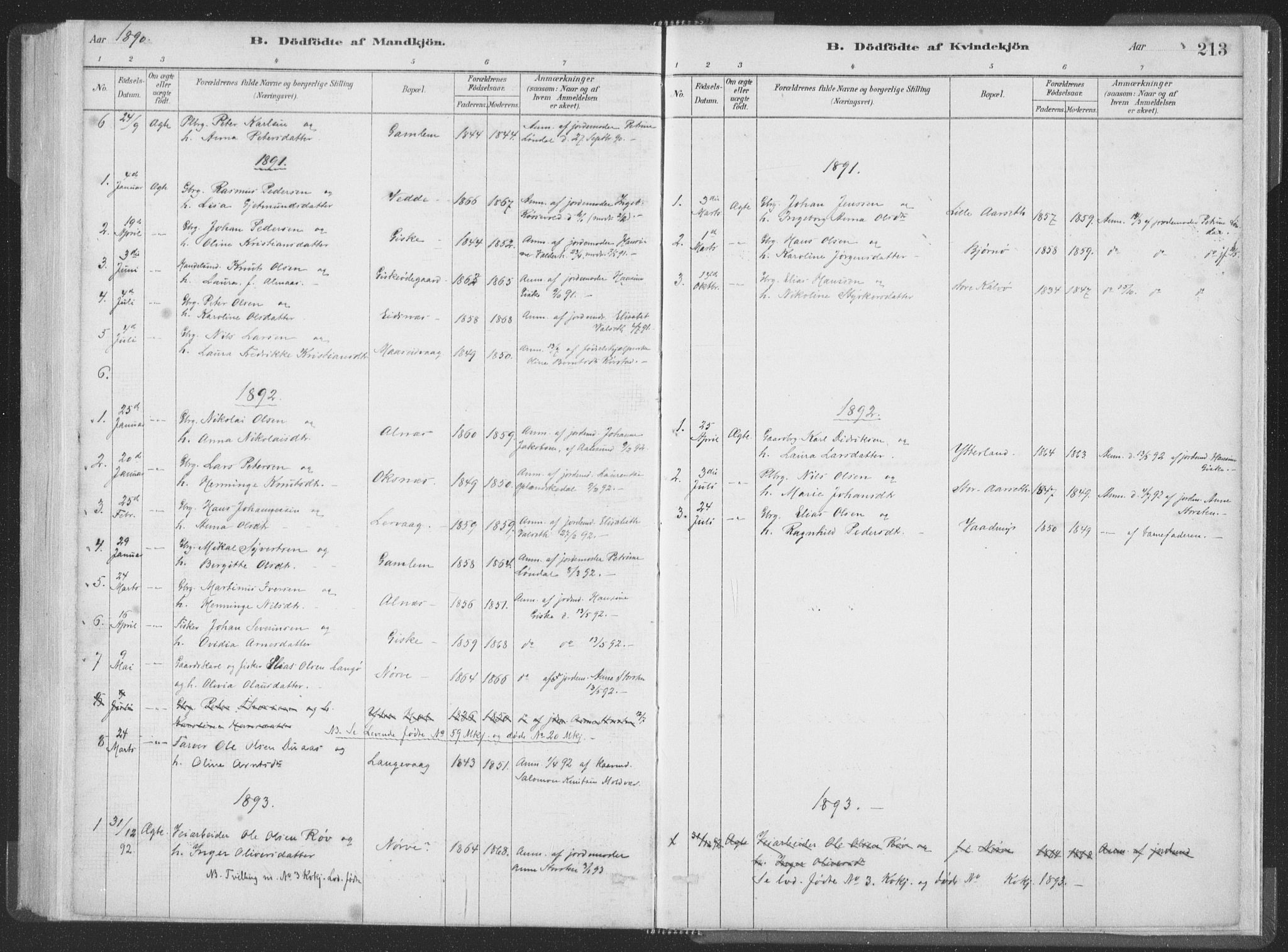 Ministerialprotokoller, klokkerbøker og fødselsregistre - Møre og Romsdal, AV/SAT-A-1454/528/L0401: Parish register (official) no. 528A12I, 1880-1920, p. 213