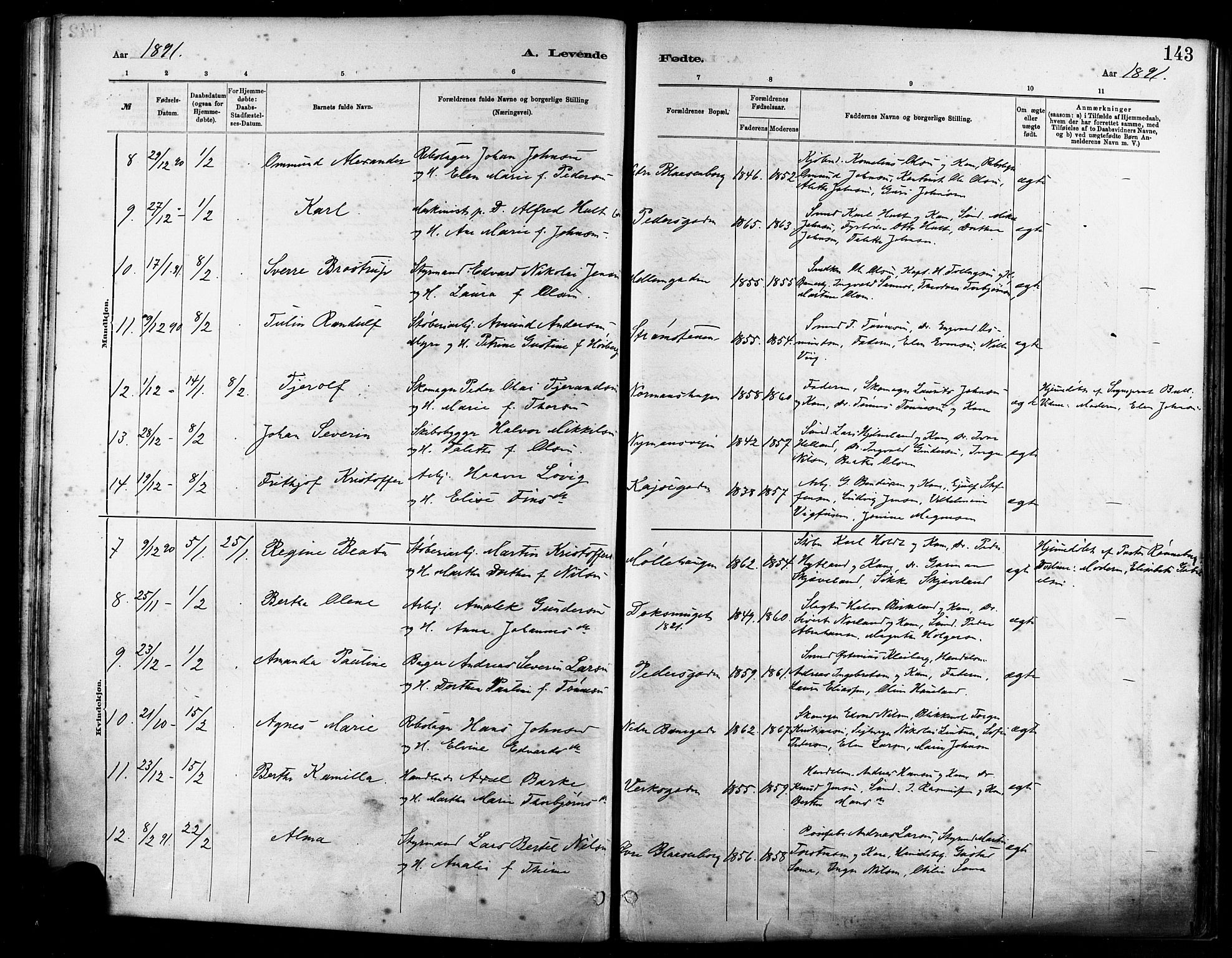 St. Johannes sokneprestkontor, AV/SAST-A-101814/001/30/30BA/L0001: Parish register (official) no. A 1, 1885-1891, p. 143