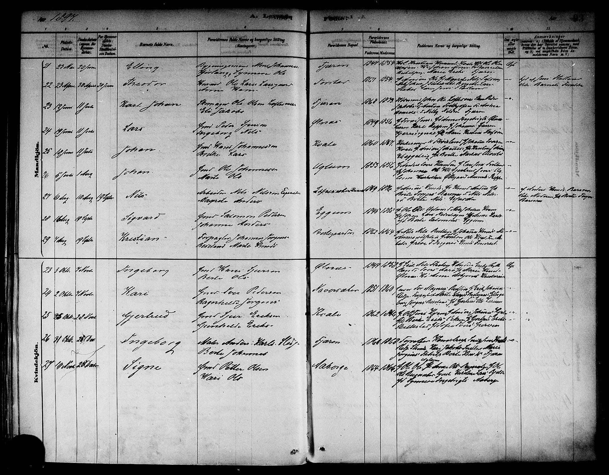 Sogndal sokneprestembete, AV/SAB-A-81301/H/Haa/Haab/L0001: Parish register (official) no. B 1, 1878-1899, p. 93