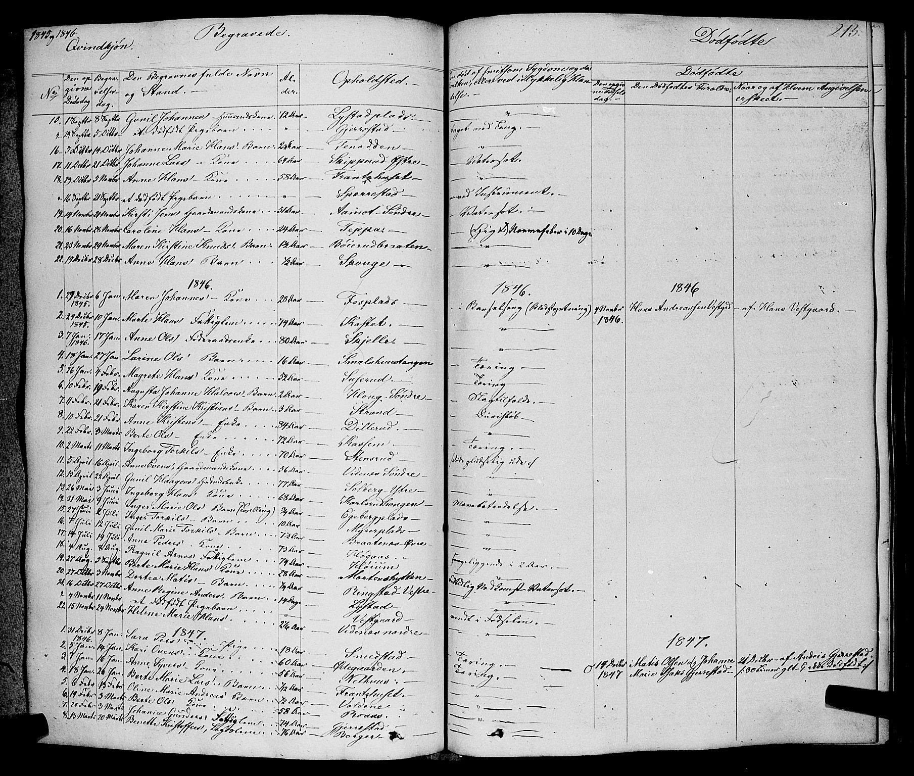 Skiptvet prestekontor Kirkebøker, SAO/A-20009/F/Fa/L0006: Parish register (official) no. 6, 1839-1860, p. 213