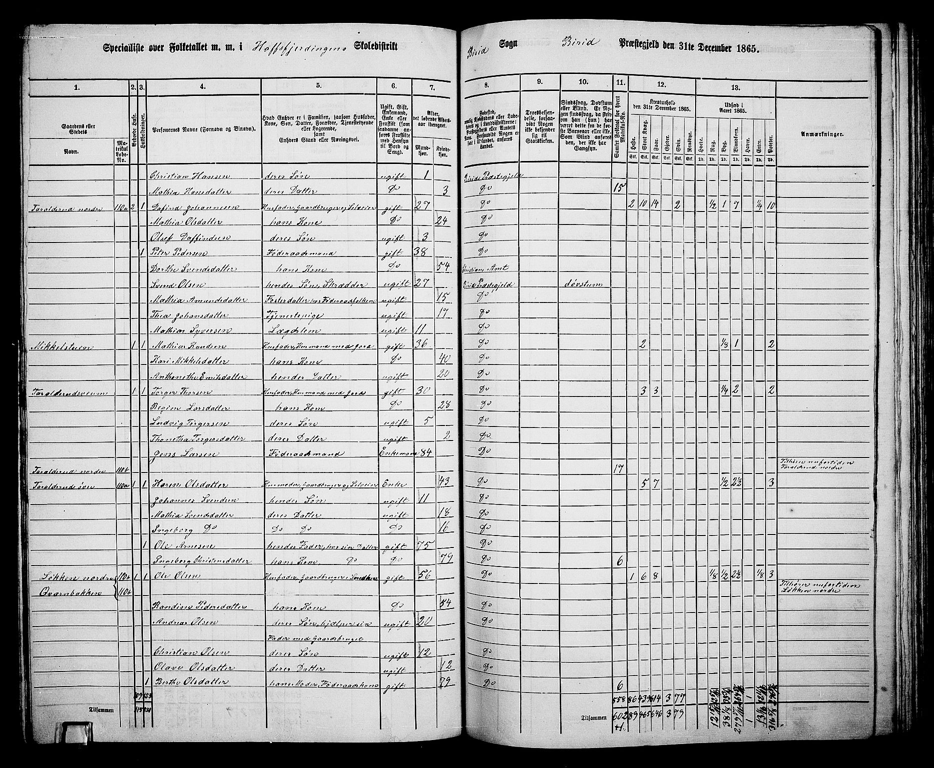 RA, 1865 census for Biri, 1865, p. 108