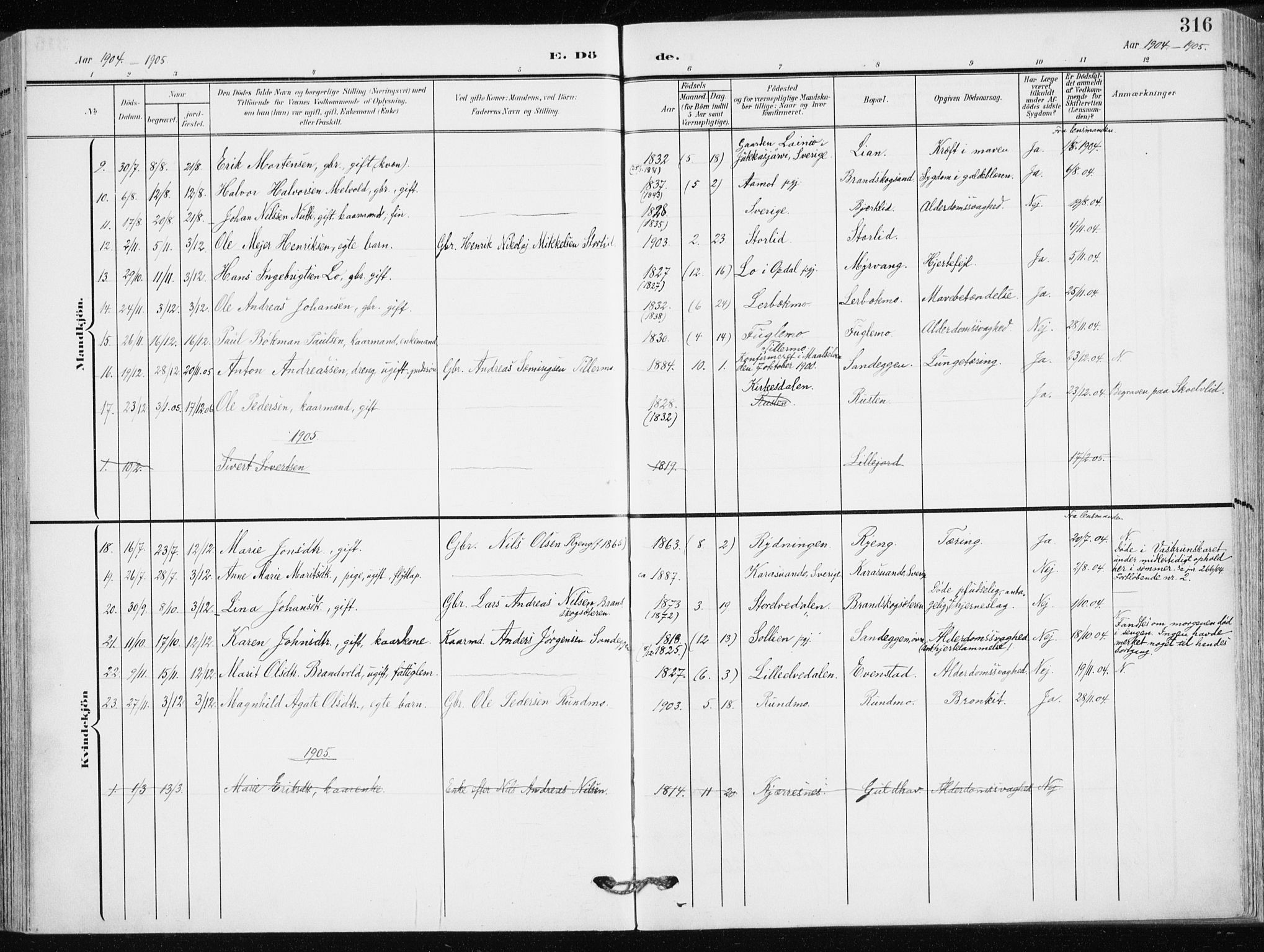 Målselv sokneprestembete, SATØ/S-1311/G/Ga/Gaa/L0011kirke: Parish register (official) no. 11, 1904-1918, p. 316