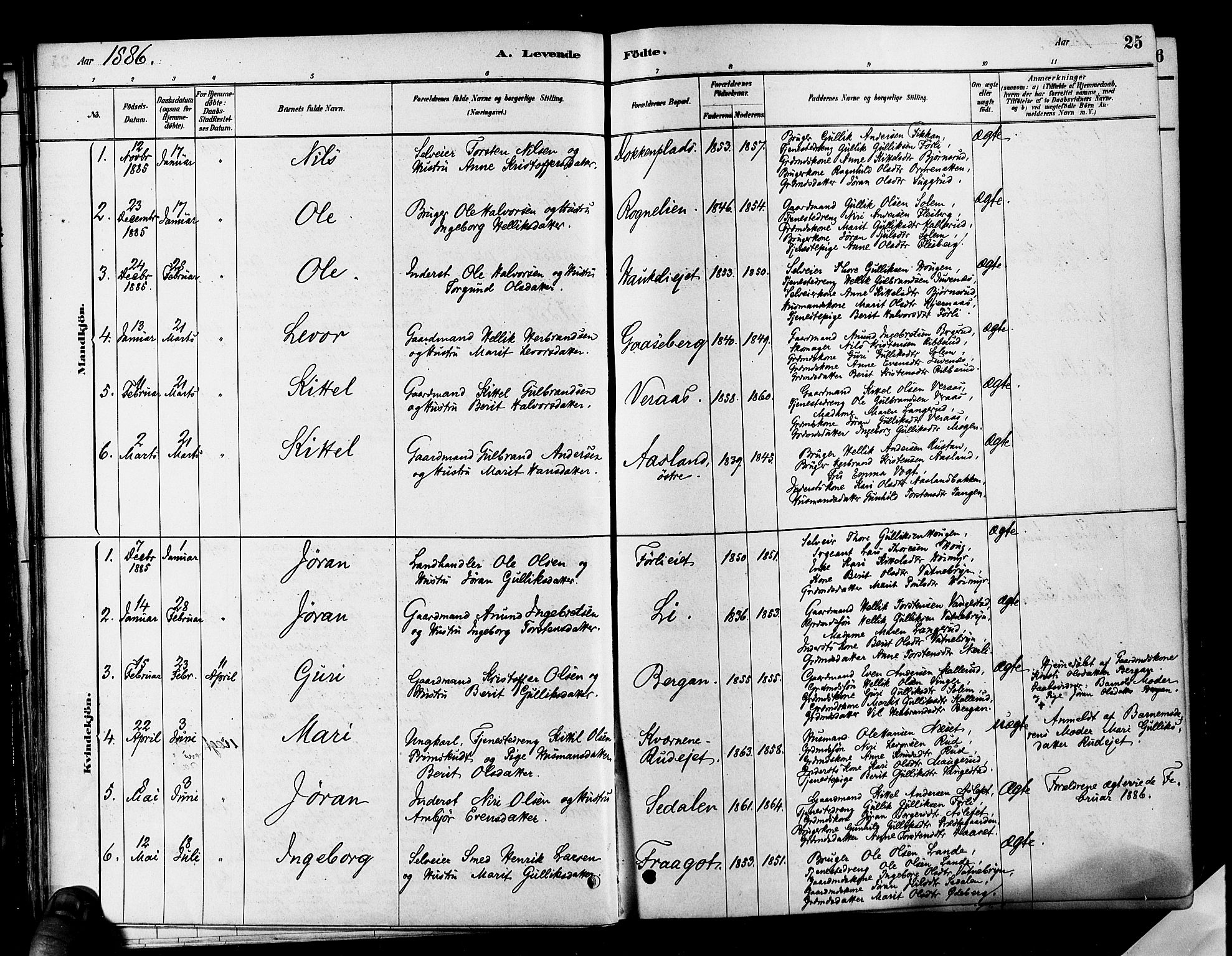 Flesberg kirkebøker, SAKO/A-18/F/Fa/L0008: Parish register (official) no. I 8, 1879-1899, p. 25