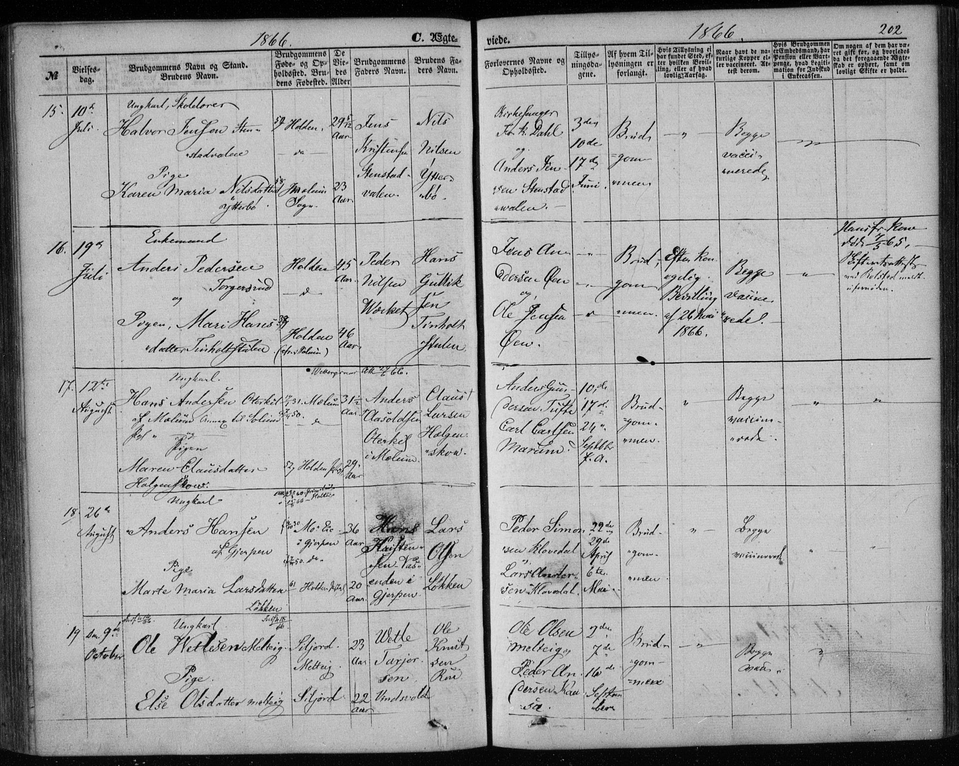 Holla kirkebøker, AV/SAKO-A-272/F/Fa/L0006: Parish register (official) no. 6, 1861-1869, p. 202