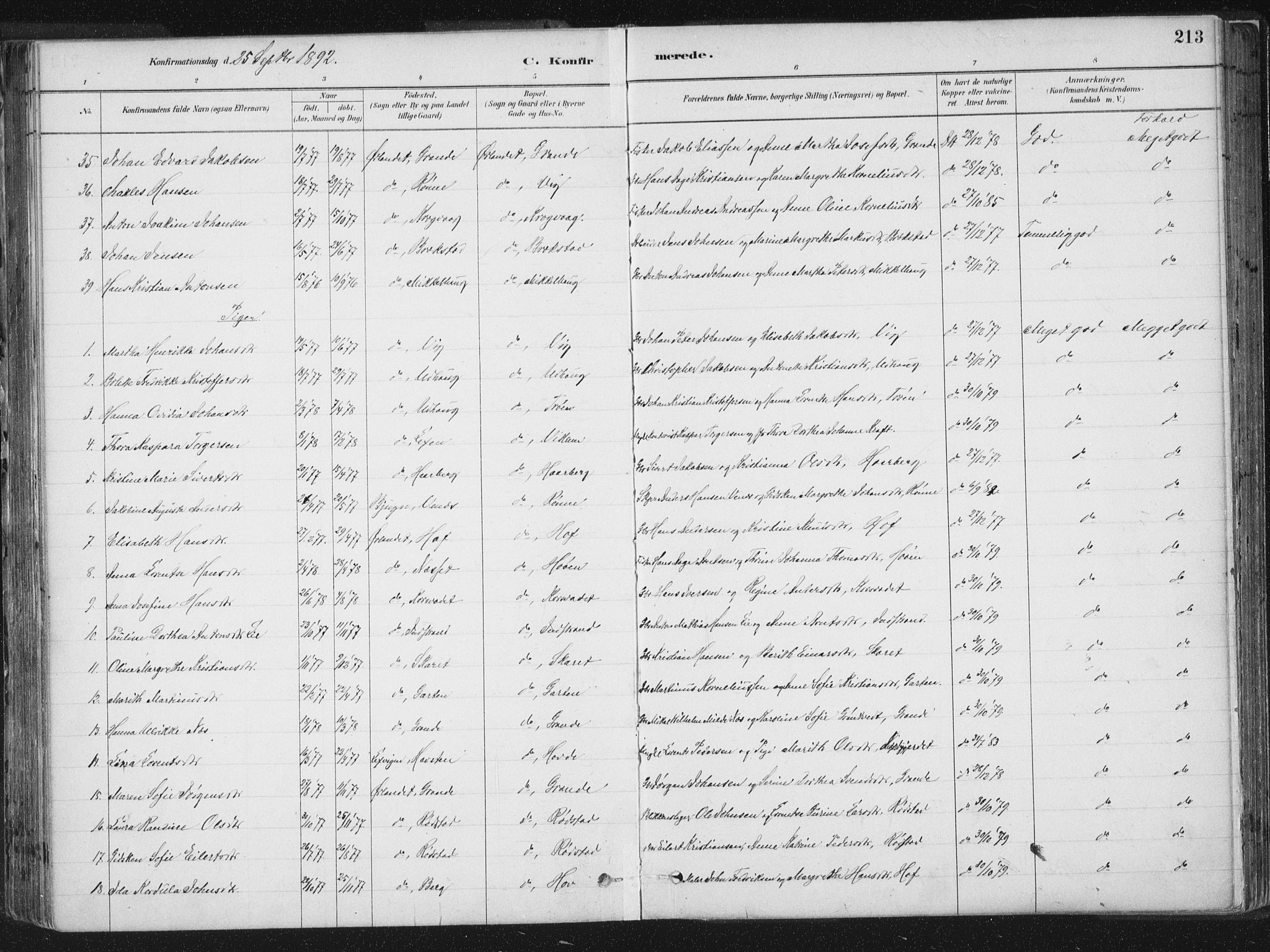 Ministerialprotokoller, klokkerbøker og fødselsregistre - Sør-Trøndelag, AV/SAT-A-1456/659/L0739: Parish register (official) no. 659A09, 1879-1893, p. 213