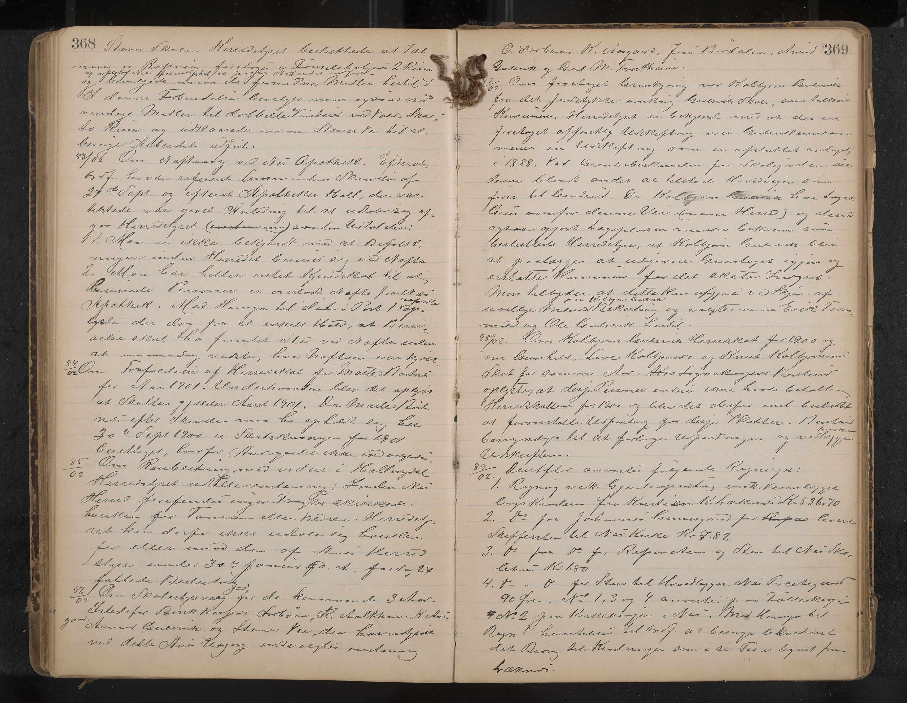 Nes formannskap og sentraladministrasjon, IKAK/0616021-1/A/Aa/L0003: Møtebok med register, 1894-1904, p. 368-369
