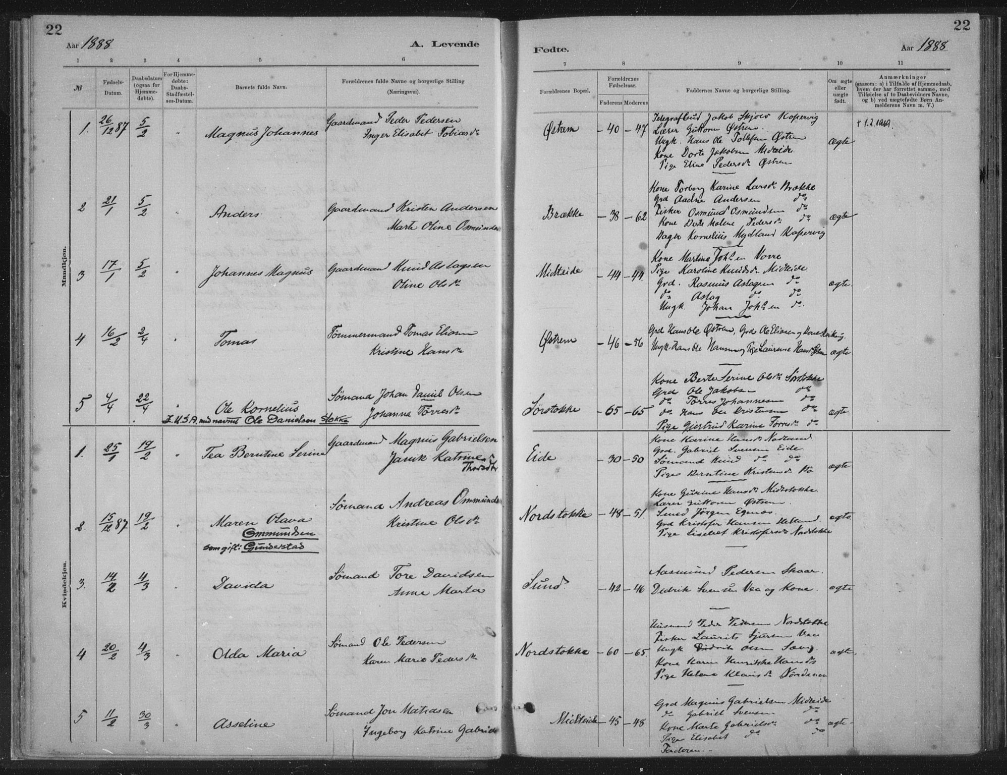 Kopervik sokneprestkontor, SAST/A-101850/H/Ha/Haa/L0002: Parish register (official) no. A 2, 1880-1912, p. 22