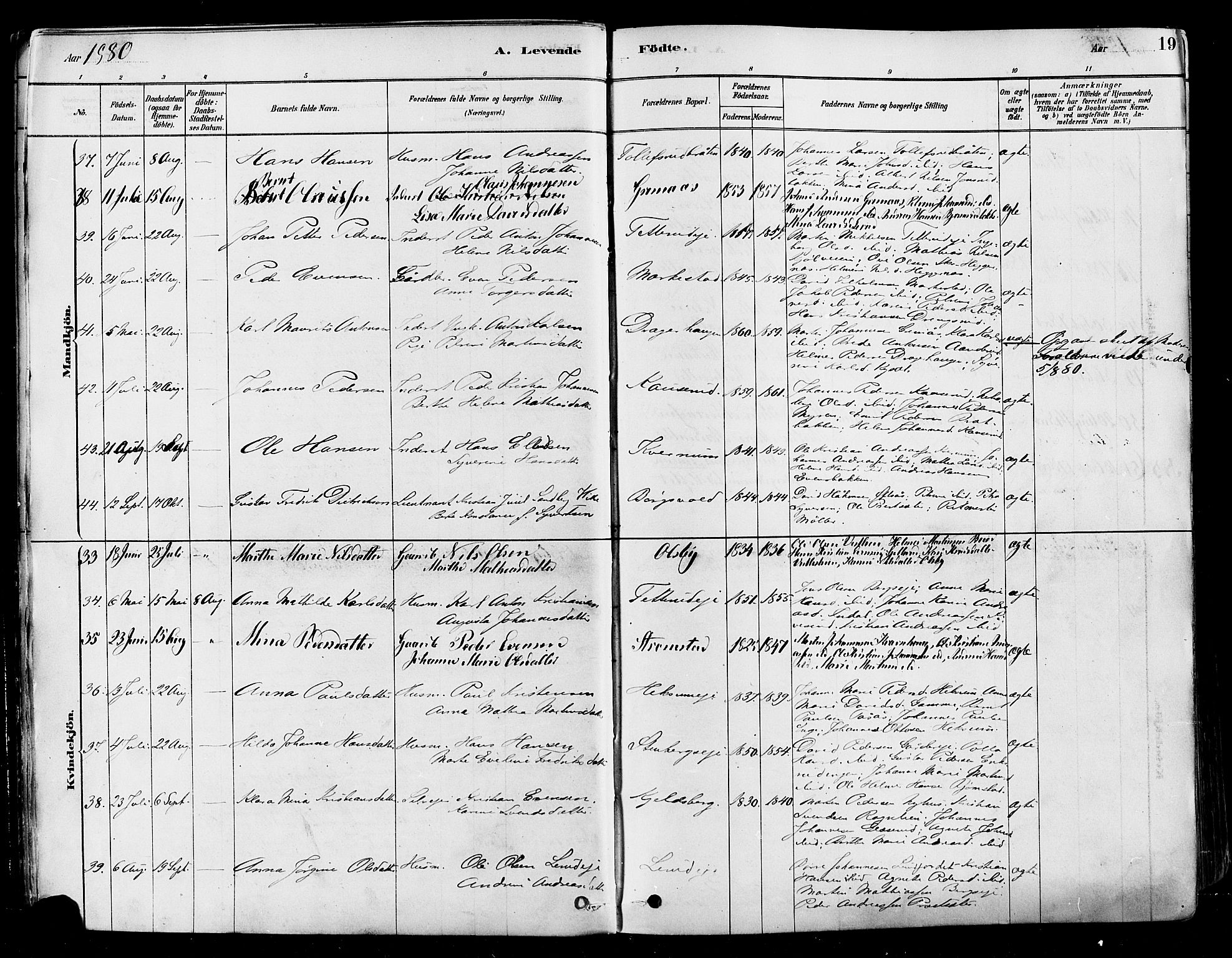 Vestre Toten prestekontor, AV/SAH-PREST-108/H/Ha/Haa/L0009: Parish register (official) no. 9, 1878-1894, p. 19