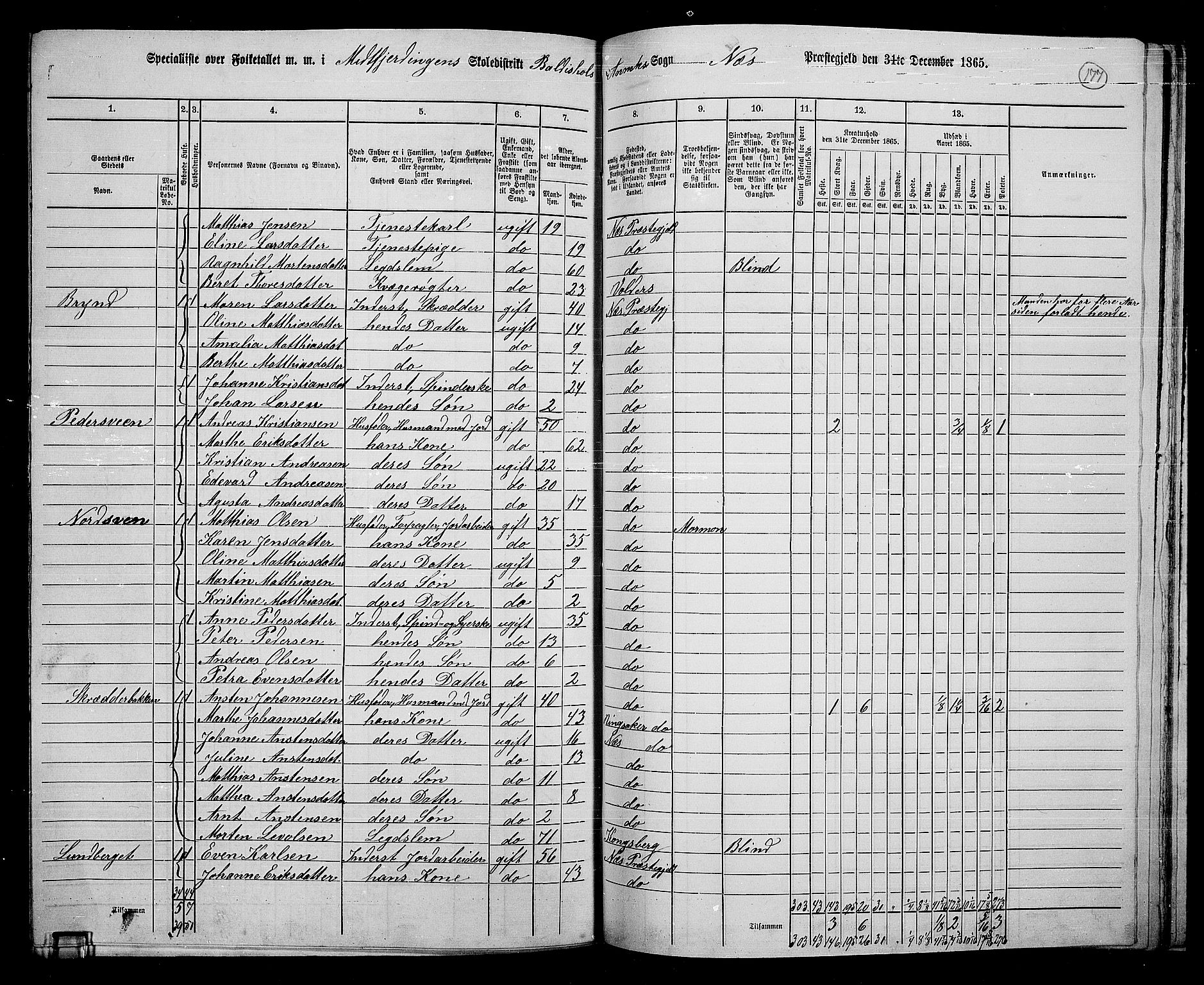 RA, 1865 census for Nes, 1865, p. 153