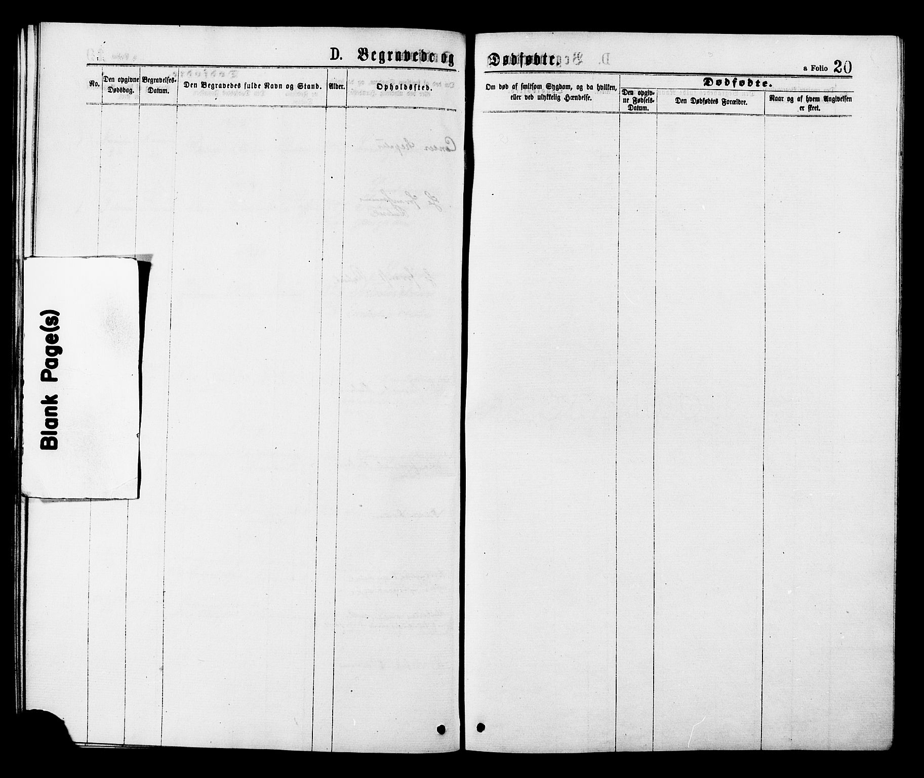 Ministerialprotokoller, klokkerbøker og fødselsregistre - Sør-Trøndelag, SAT/A-1456/624/L0482: Parish register (official) no. 624A03, 1870-1918, p. 20