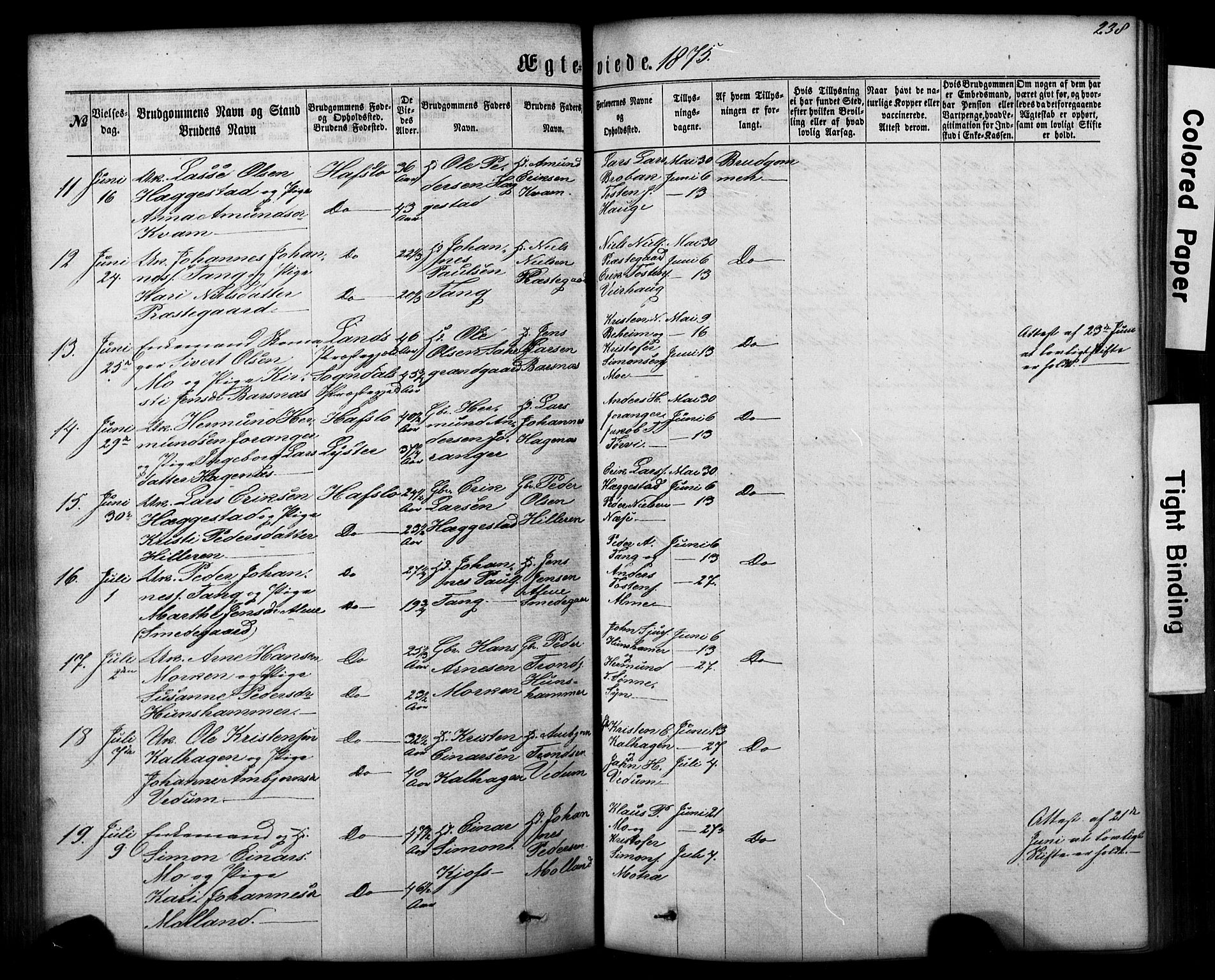 Hafslo sokneprestembete, AV/SAB-A-80301/H/Hab/Haba/L0001: Parish register (copy) no. A 1, 1866-1908, p. 238