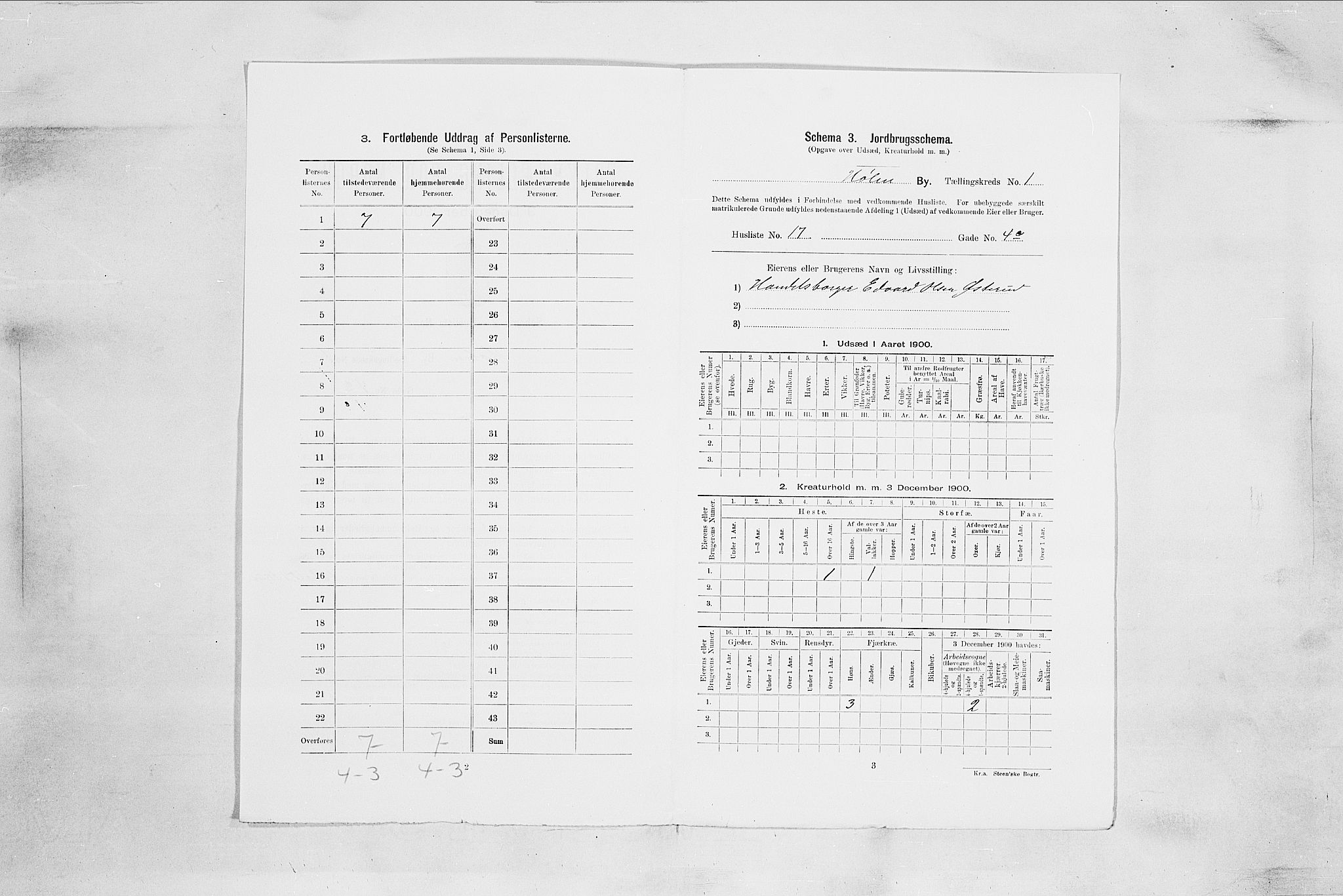 SAO, 1900 census for Hølen, 1900