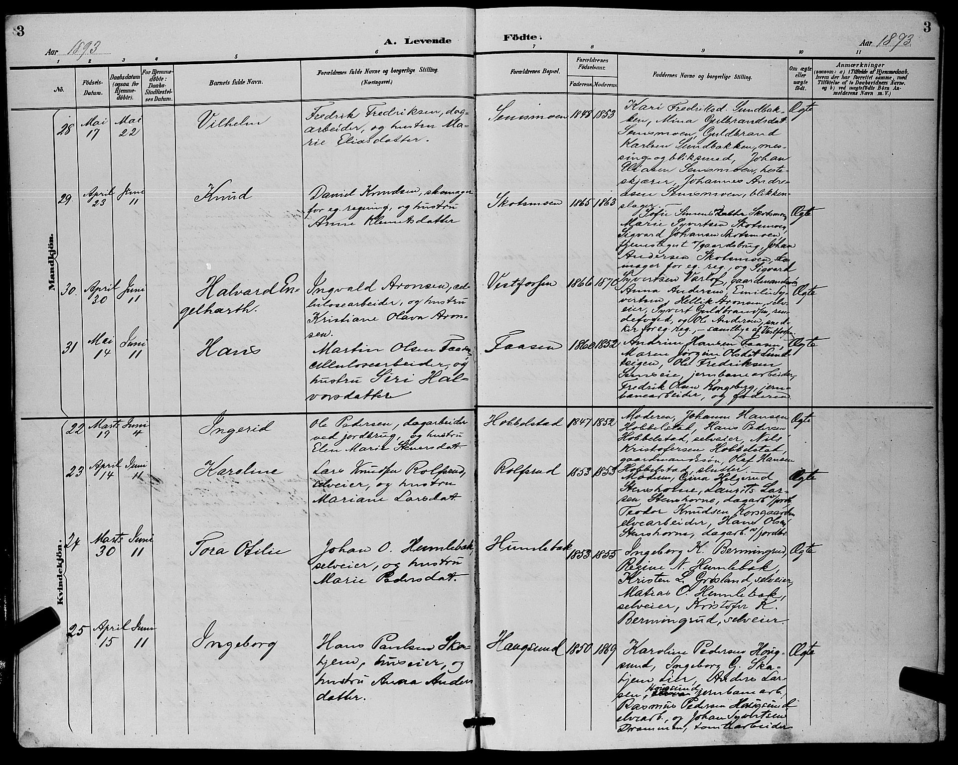 Eiker kirkebøker, AV/SAKO-A-4/G/Ga/L0007: Parish register (copy) no. I 7, 1893-1902, p. 3