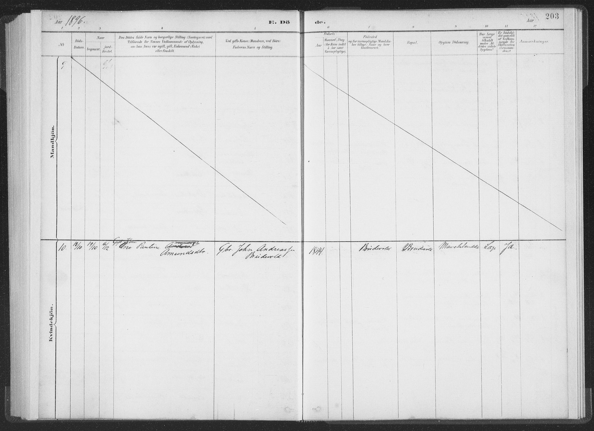 Ministerialprotokoller, klokkerbøker og fødselsregistre - Møre og Romsdal, AV/SAT-A-1454/502/L0025: Parish register (official) no. 502A03, 1885-1909, p. 203