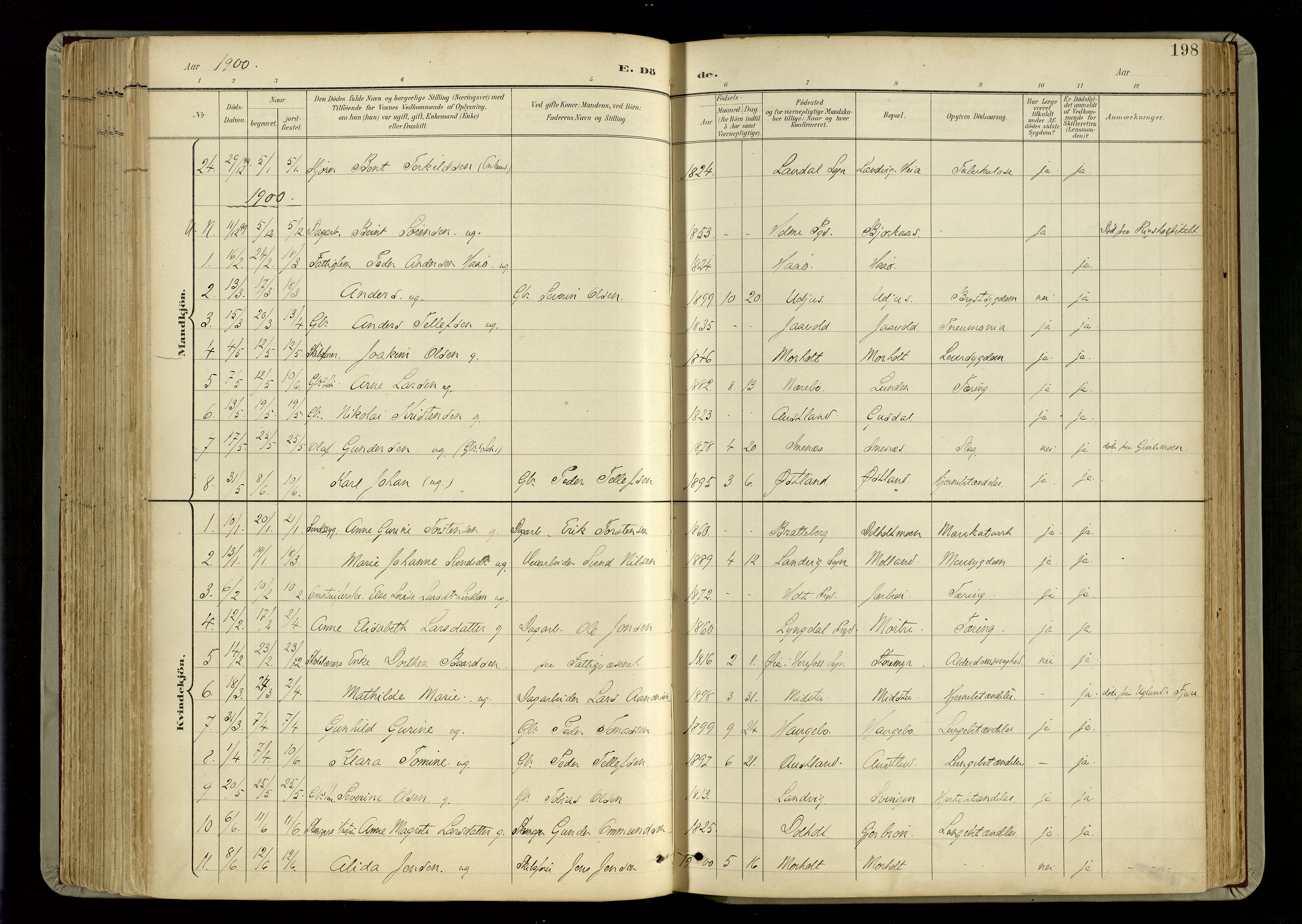 Hommedal sokneprestkontor, AV/SAK-1111-0023/F/Fa/Fab/L0007: Parish register (official) no. A 7, 1898-1924, p. 198