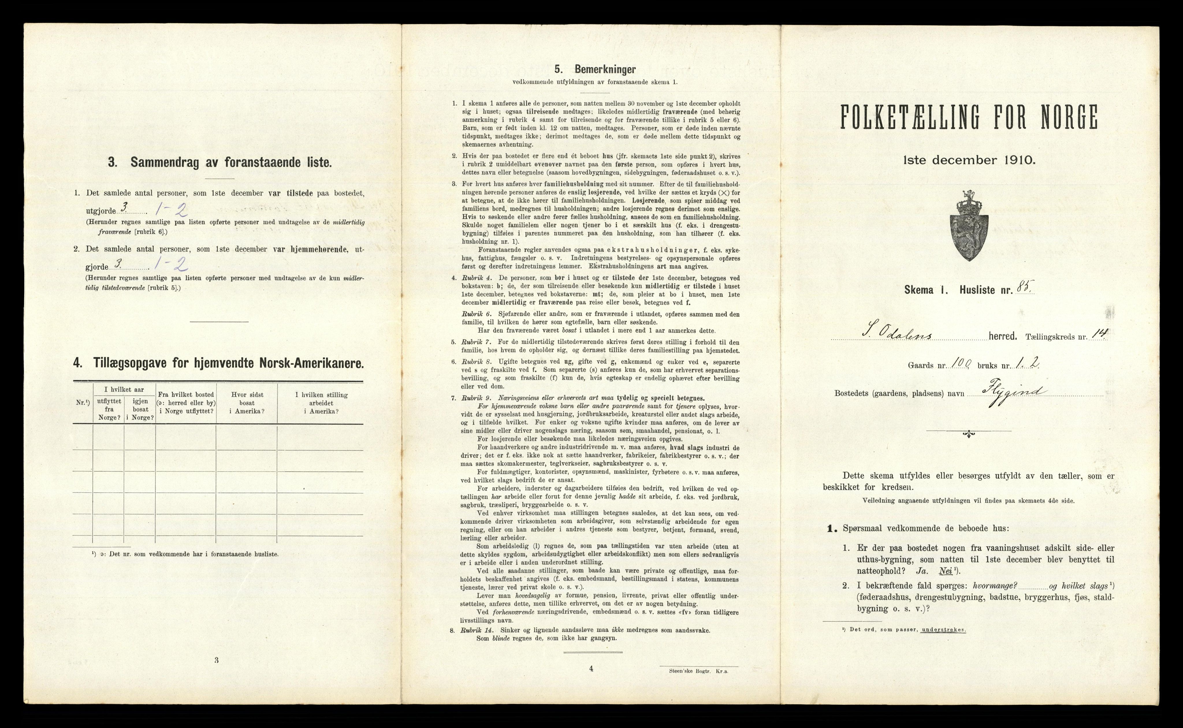 RA, 1910 census for Sør-Odal, 1910, p. 2490