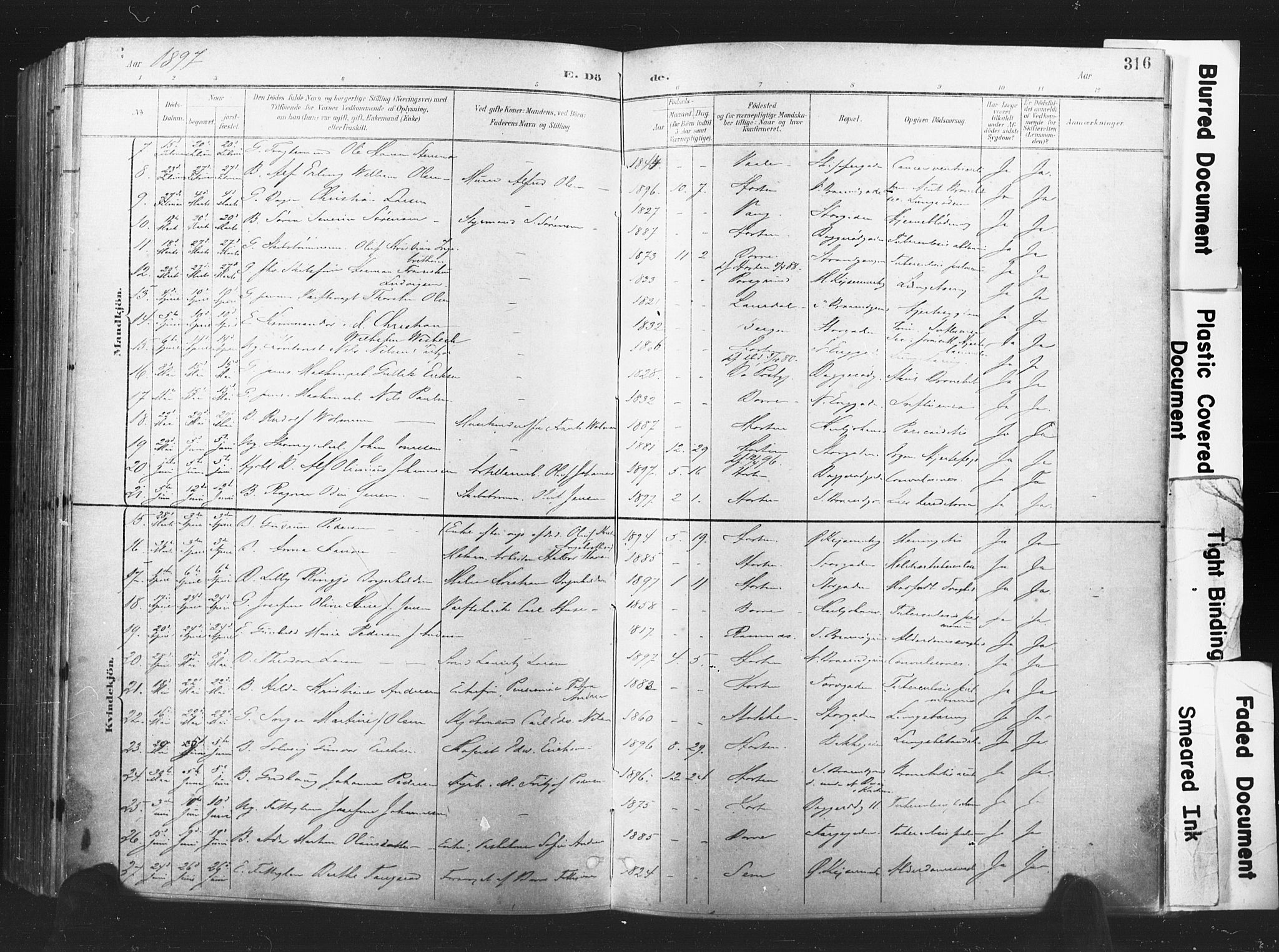 Horten kirkebøker, AV/SAKO-A-348/F/Fa/L0005: Parish register (official) no. 5, 1896-1904, p. 316