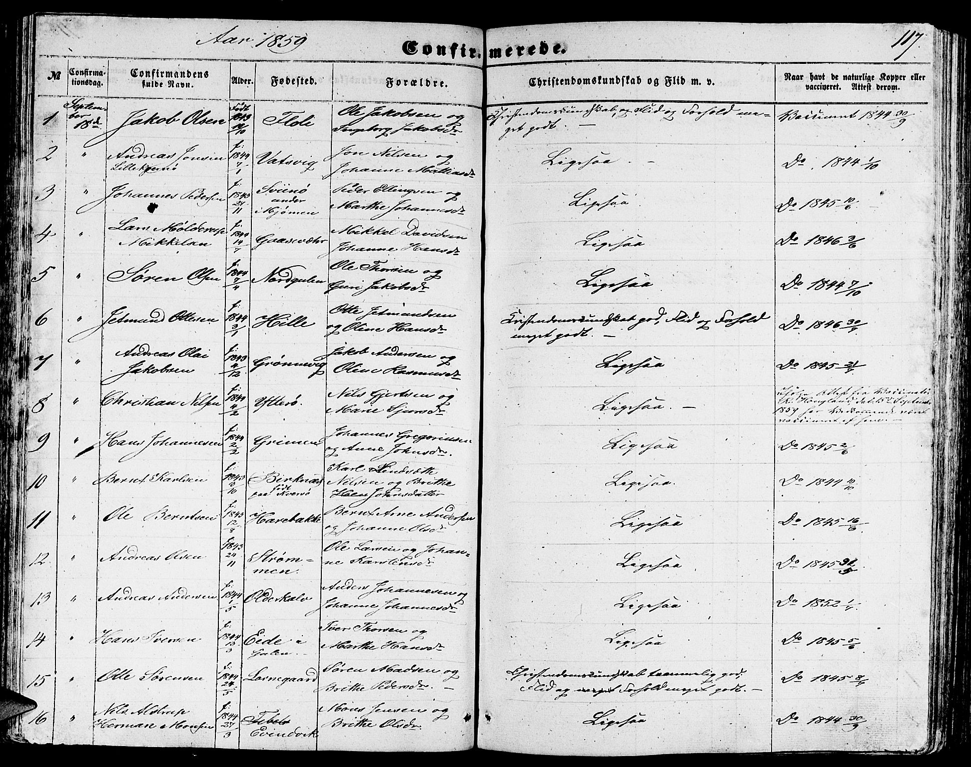 Gulen sokneprestembete, AV/SAB-A-80201/H/Hab/Habb/L0001: Parish register (copy) no. B 1, 1854-1866, p. 117