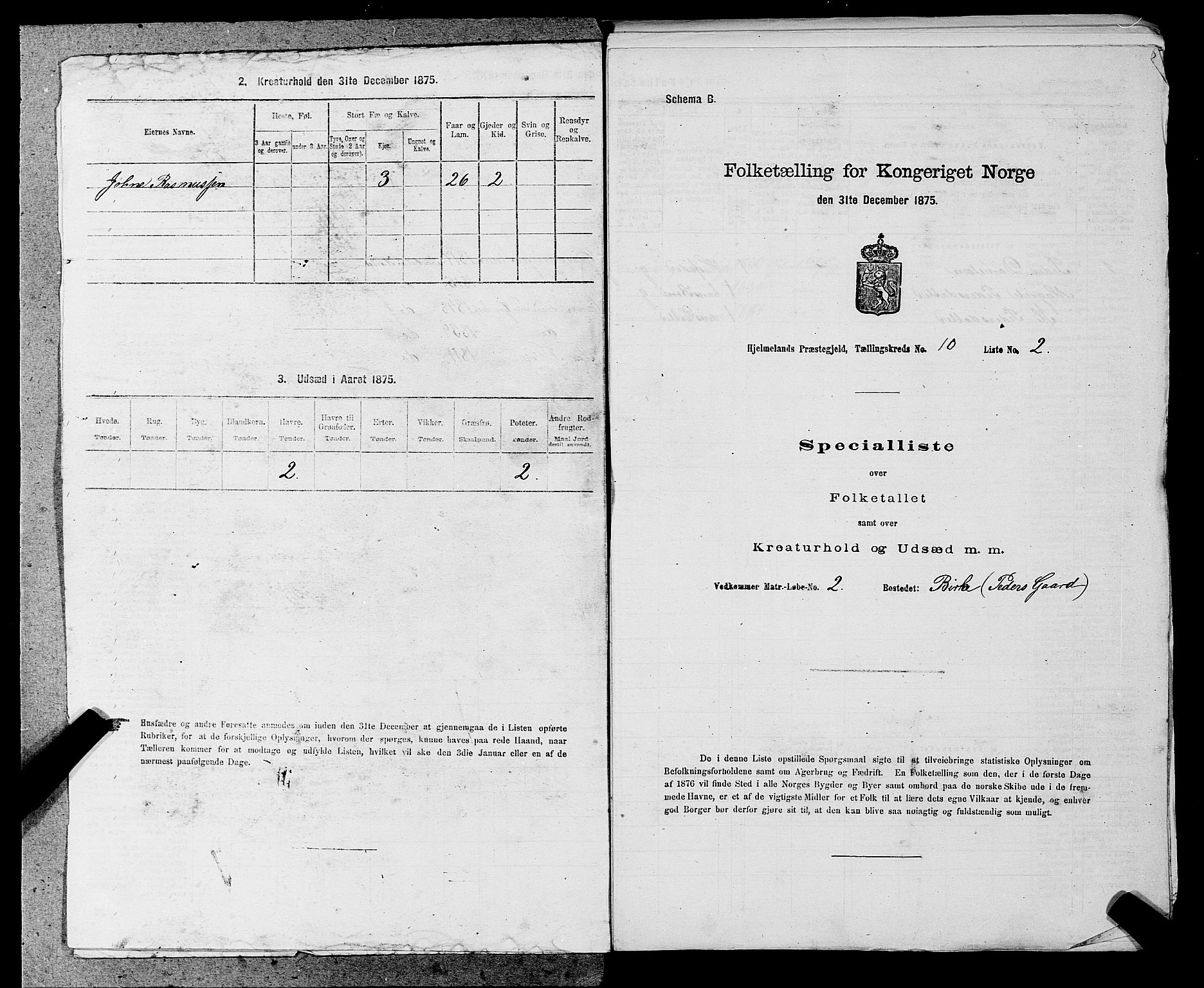 SAST, 1875 census for 1133P Hjelmeland, 1875, p. 1213