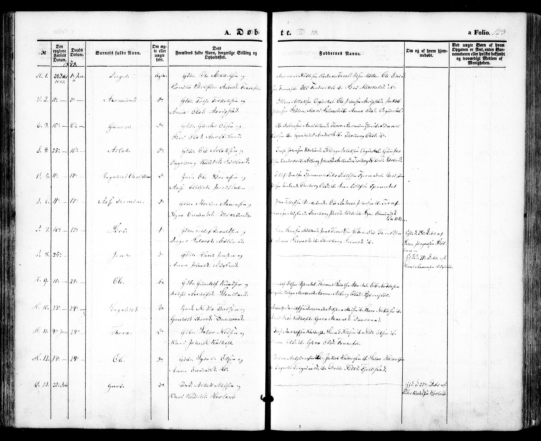 Evje sokneprestkontor, SAK/1111-0008/F/Fa/Faa/L0005: Parish register (official) no. A 5, 1843-1865, p. 123