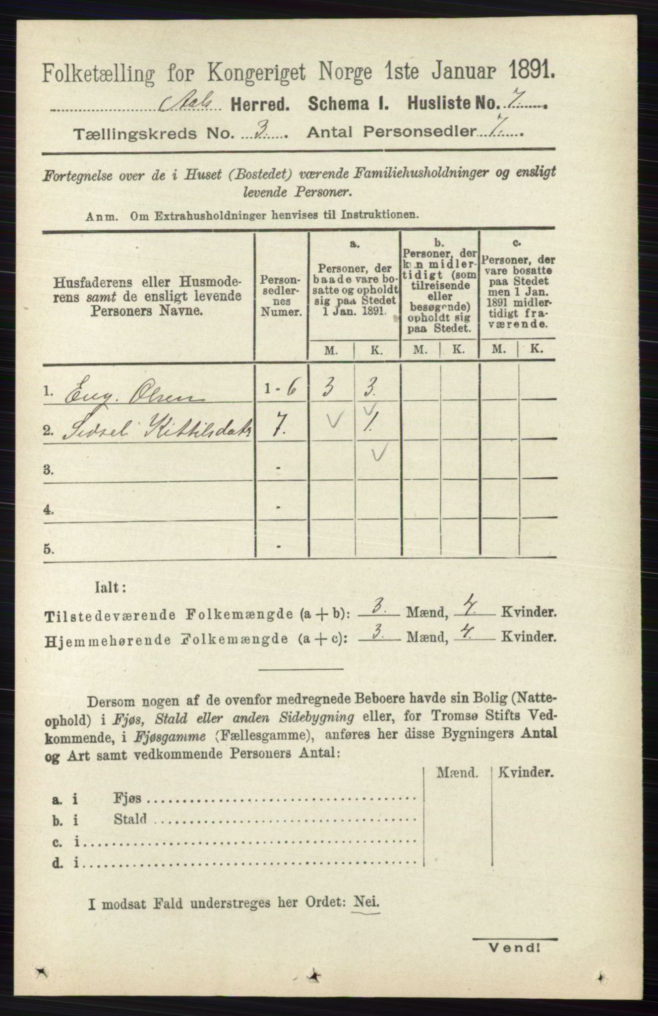 RA, 1891 census for 0619 Ål, 1891, p. 601