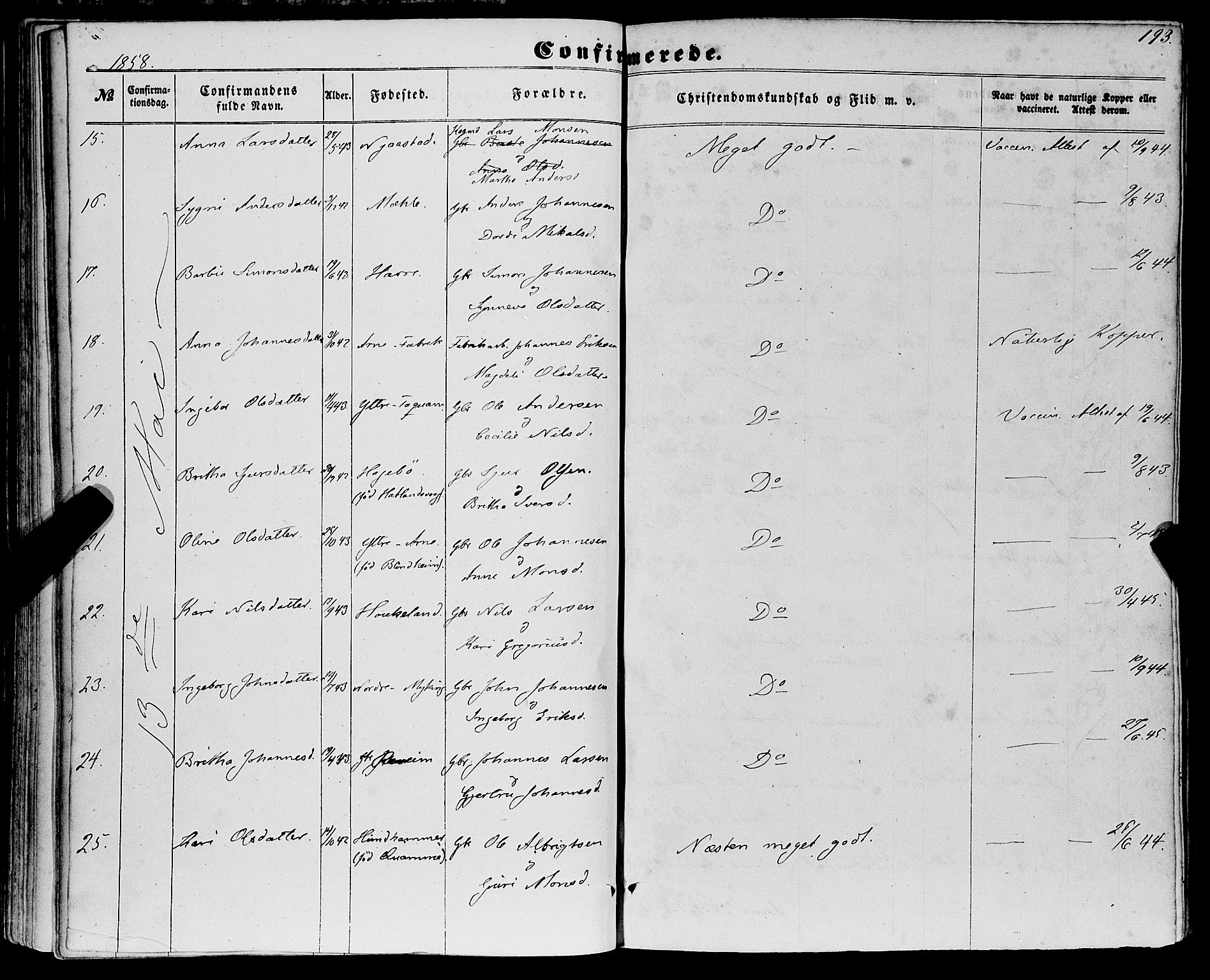 Haus sokneprestembete, SAB/A-75601/H/Haa: Parish register (official) no. A 17, 1858-1870, p. 193