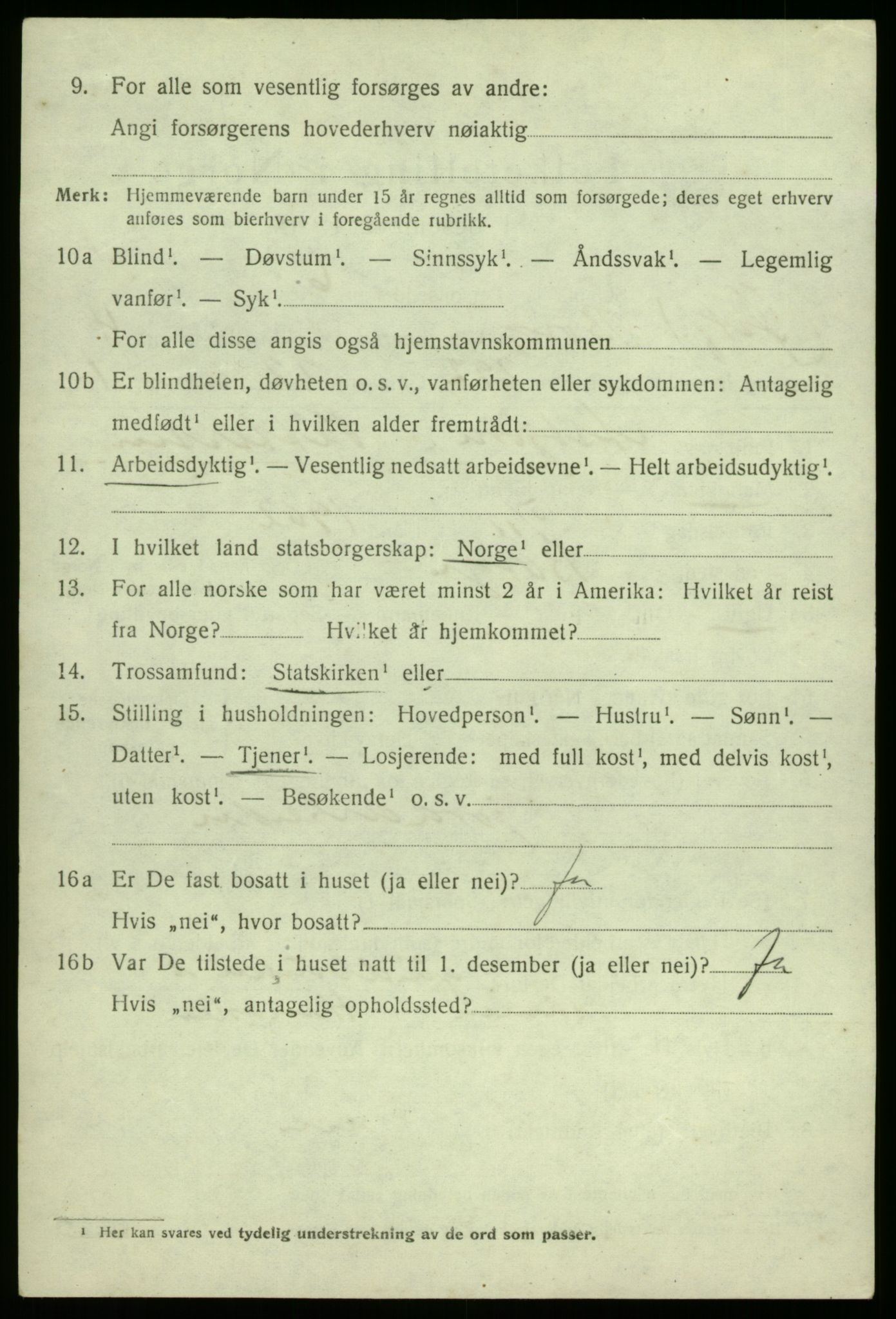 SAO, 1920 census for Borge, 1920, p. 11904