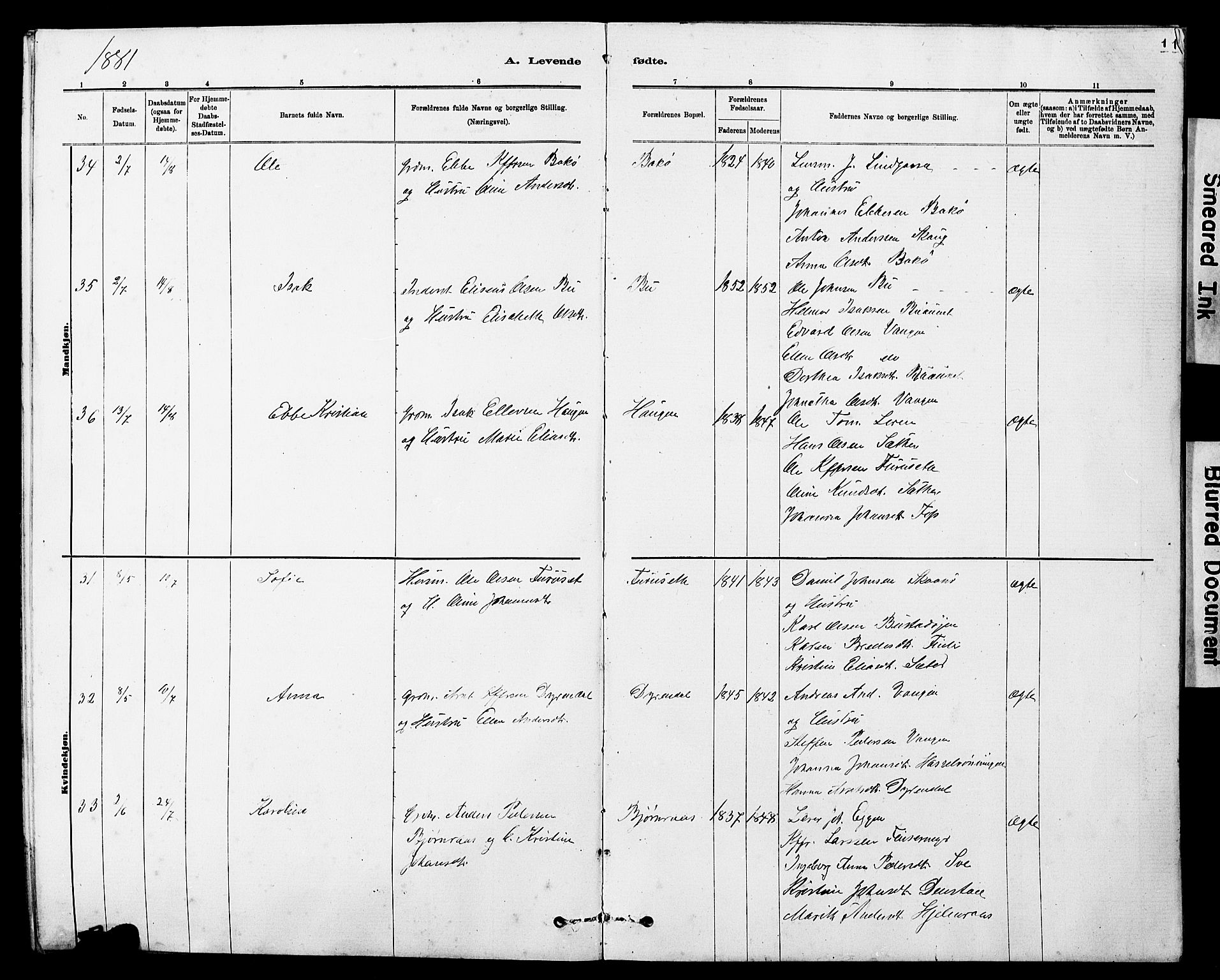 Ministerialprotokoller, klokkerbøker og fødselsregistre - Sør-Trøndelag, AV/SAT-A-1456/647/L0636: Parish register (copy) no. 647C01, 1881-1884, p. 11
