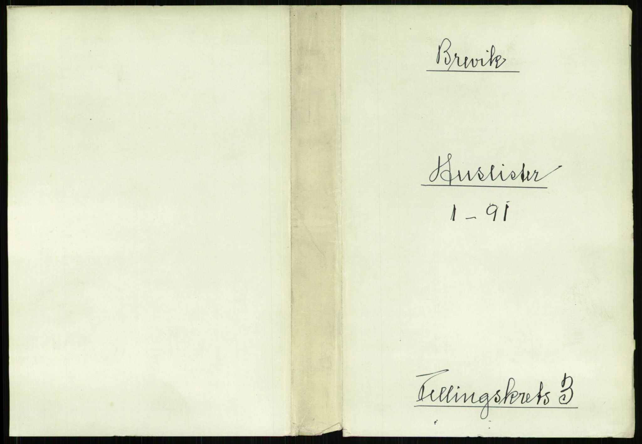 RA, 1891 census for 0804 Brevik, 1891, p. 499