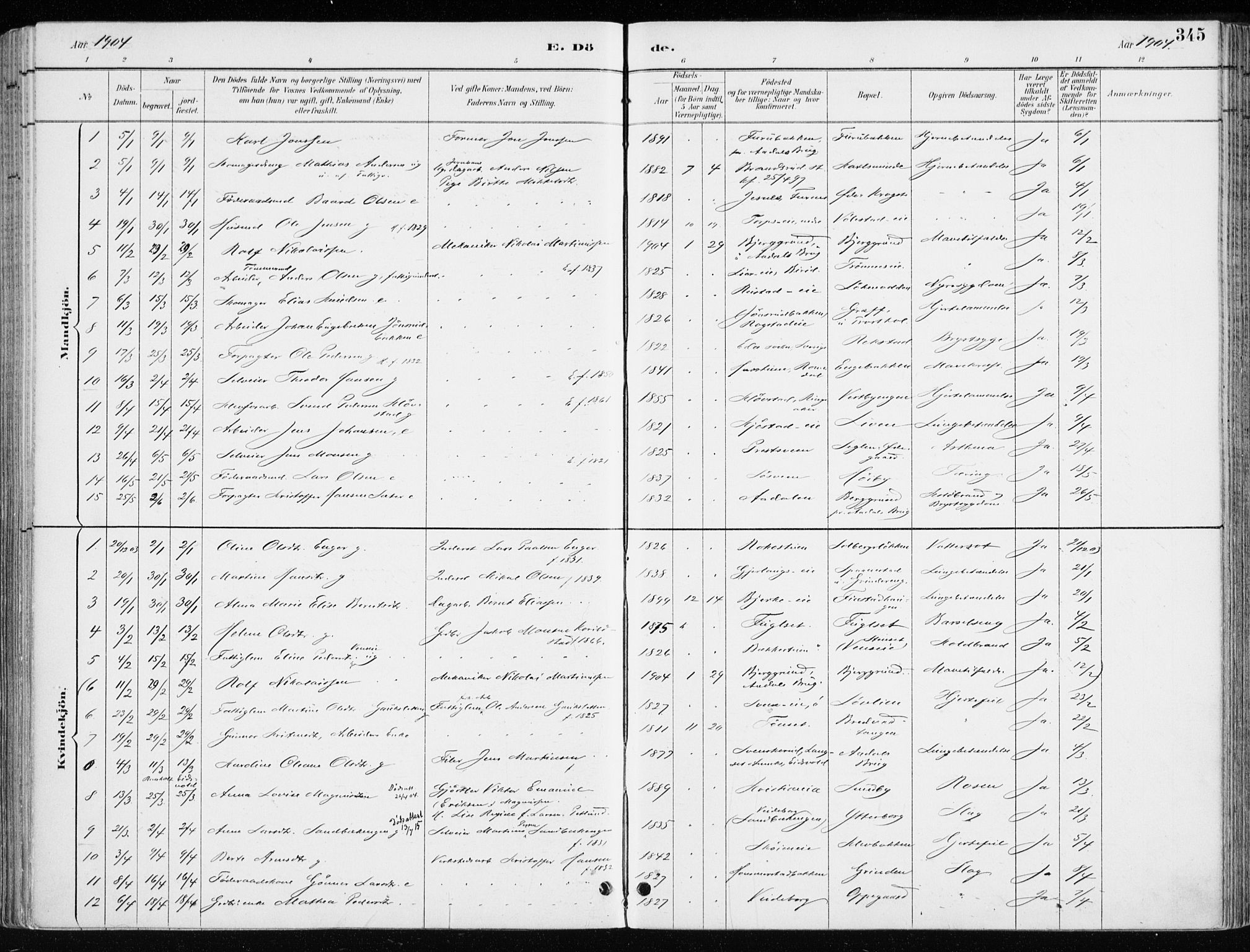 Løten prestekontor, AV/SAH-PREST-022/K/Ka/L0010: Parish register (official) no. 10, 1892-1907, p. 345