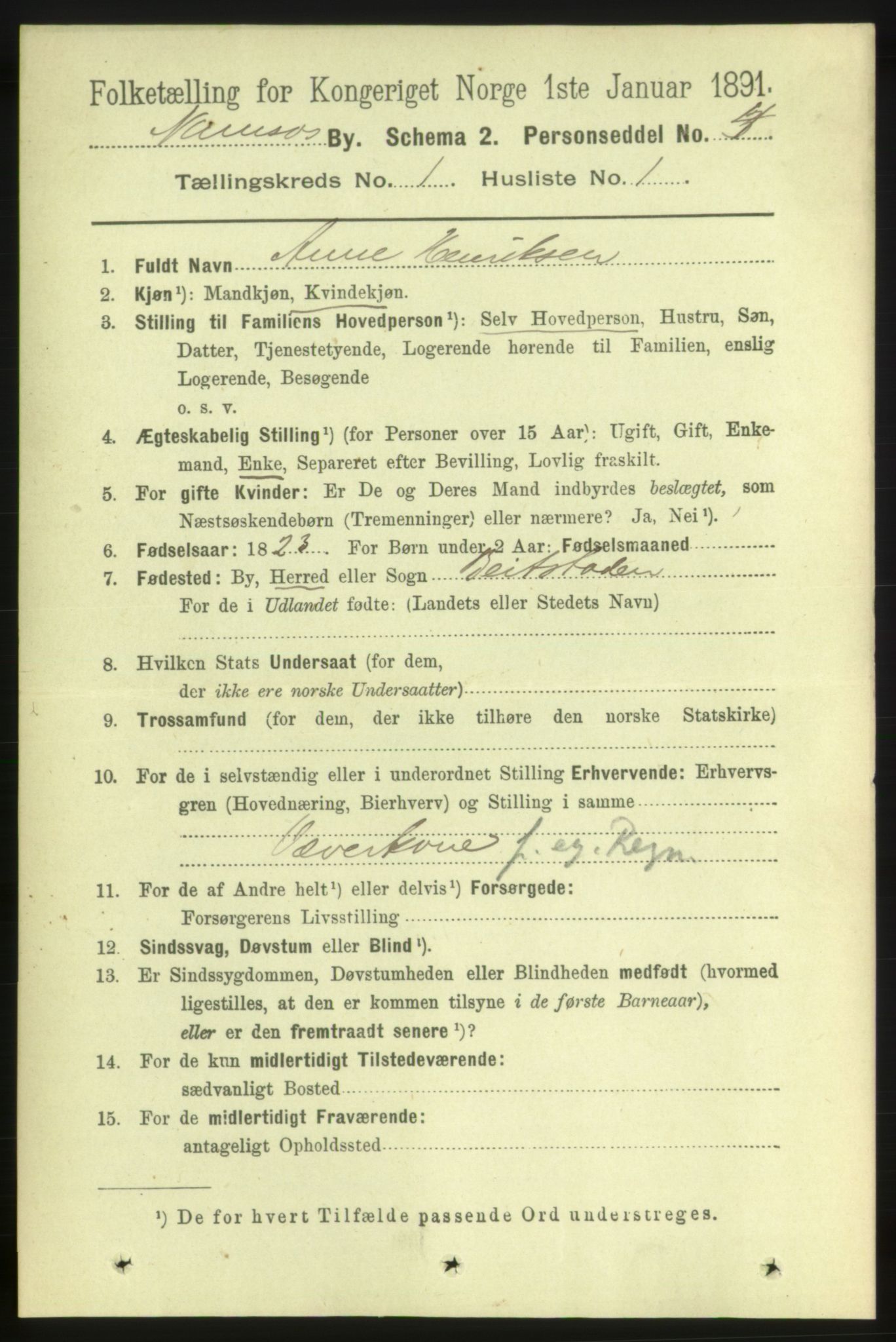 RA, 1891 census for 1703 Namsos, 1891, p. 19