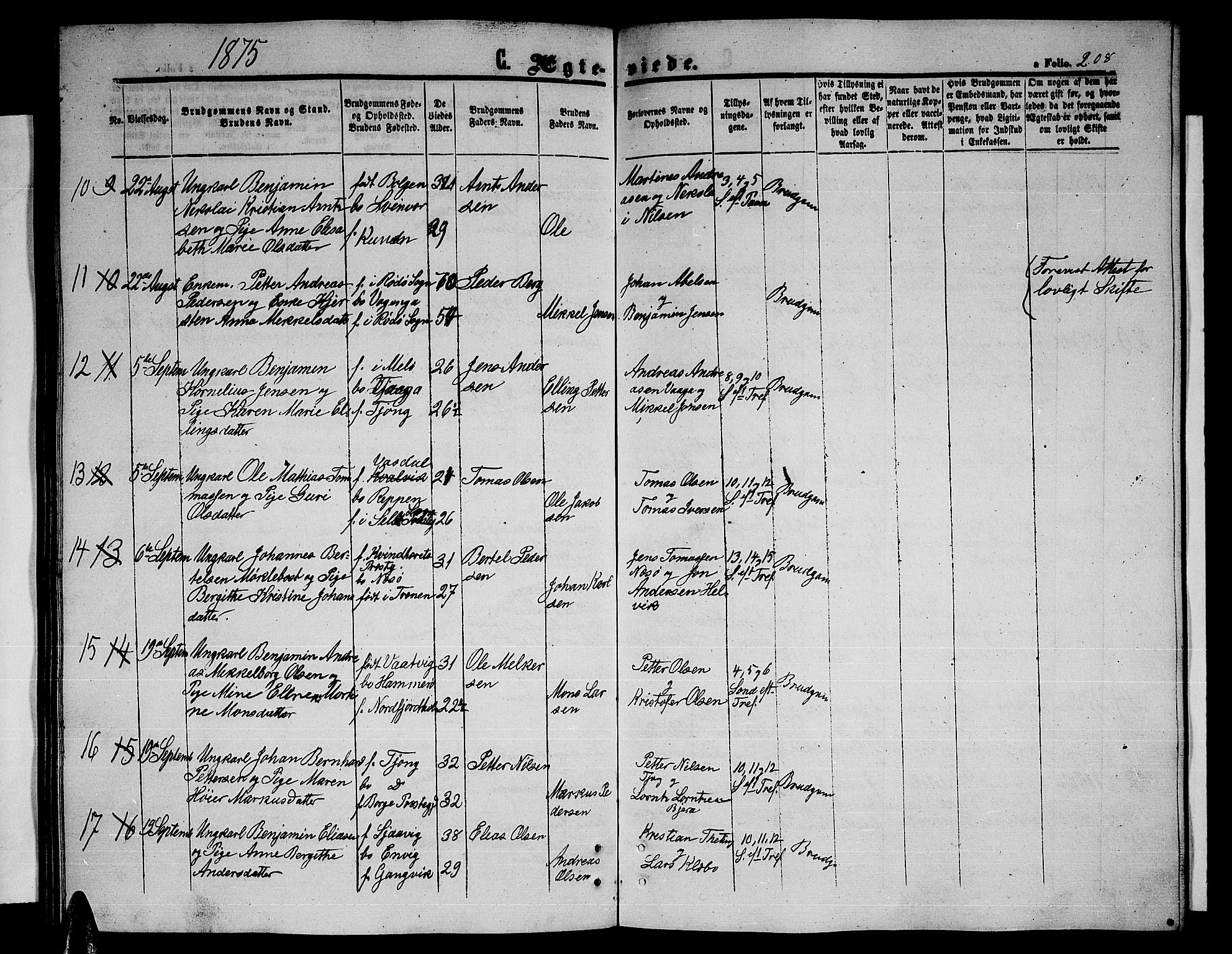 Ministerialprotokoller, klokkerbøker og fødselsregistre - Nordland, AV/SAT-A-1459/841/L0619: Parish register (copy) no. 841C03, 1856-1876, p. 208