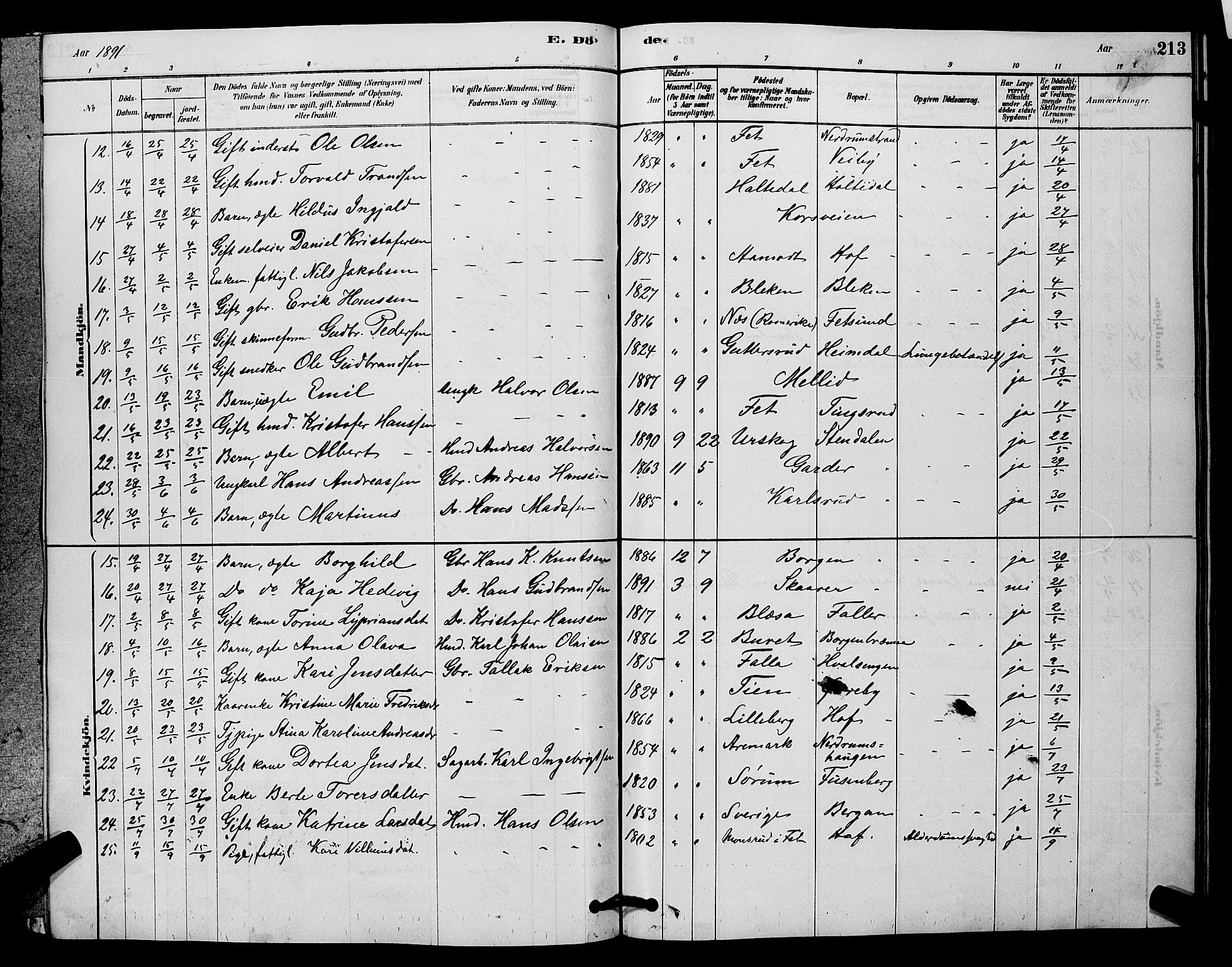 Fet prestekontor Kirkebøker, AV/SAO-A-10370a/G/Ga/L0006: Parish register (copy) no. I 6, 1878-1891, p. 213