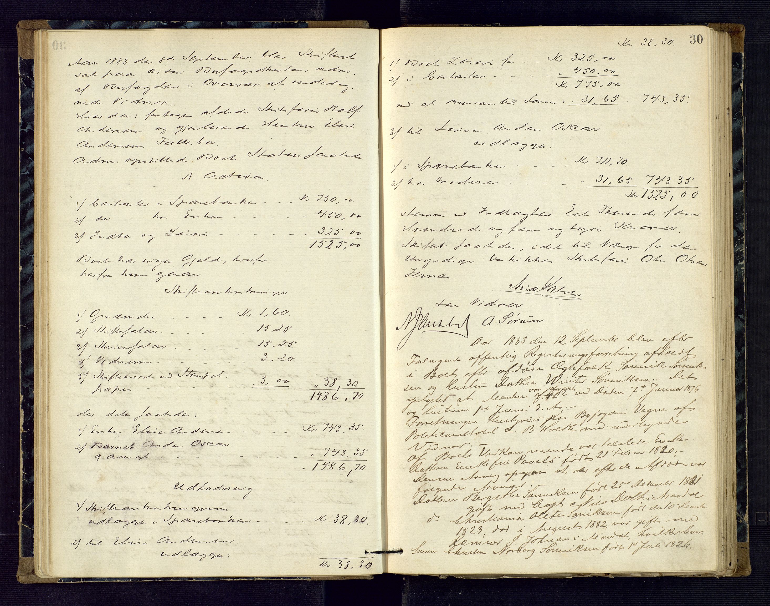 Risør byfogd, AV/SAK-1222-0005/H/Hc/L0004: Skifteprotokoll nr. 3B, 1882-1886, p. 30