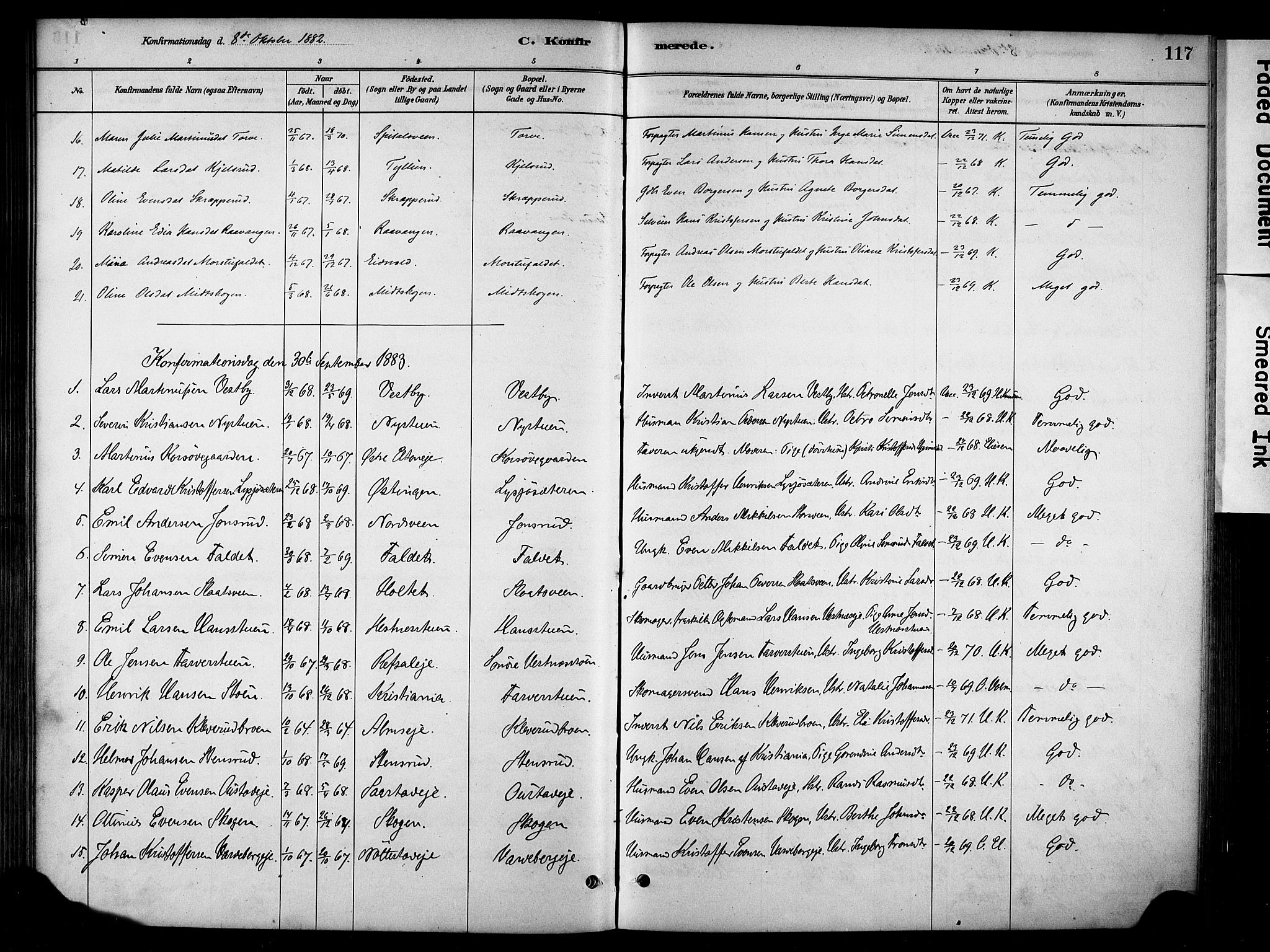 Stange prestekontor, SAH/PREST-002/K/L0018: Parish register (official) no. 18, 1880-1896, p. 117