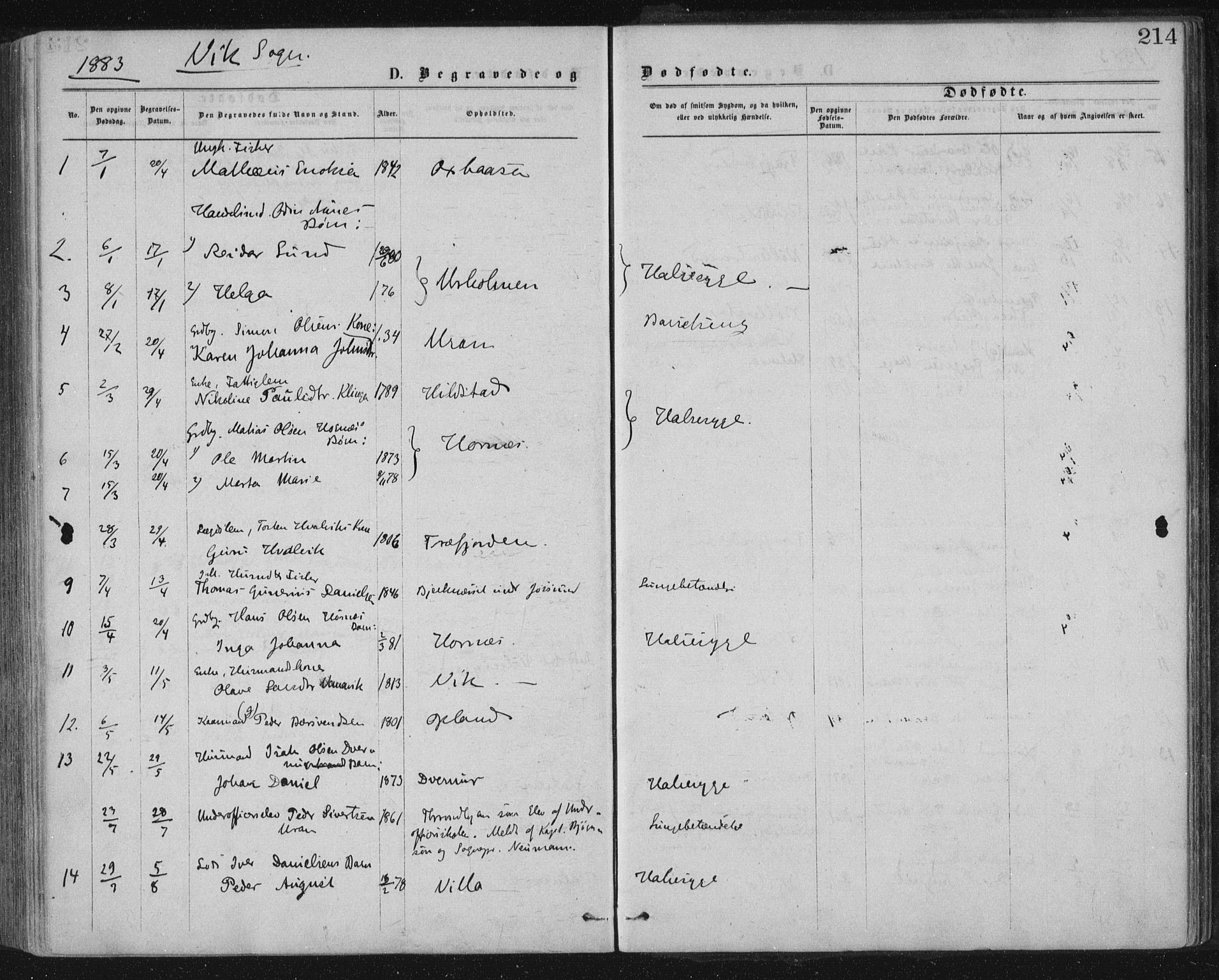 Ministerialprotokoller, klokkerbøker og fødselsregistre - Nord-Trøndelag, SAT/A-1458/771/L0596: Parish register (official) no. 771A03, 1870-1884, p. 214