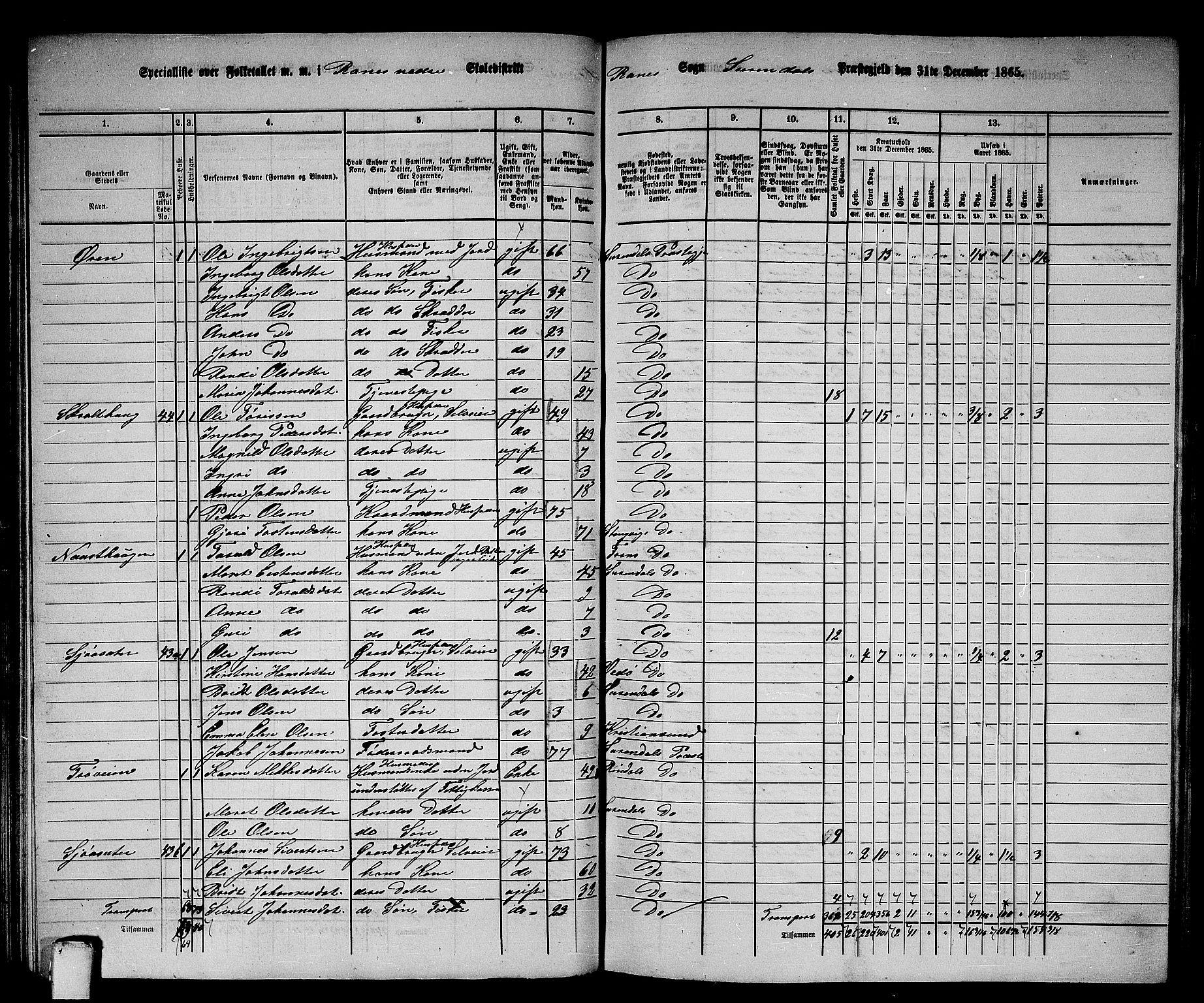 RA, 1865 census for Surnadal, 1865, p. 93