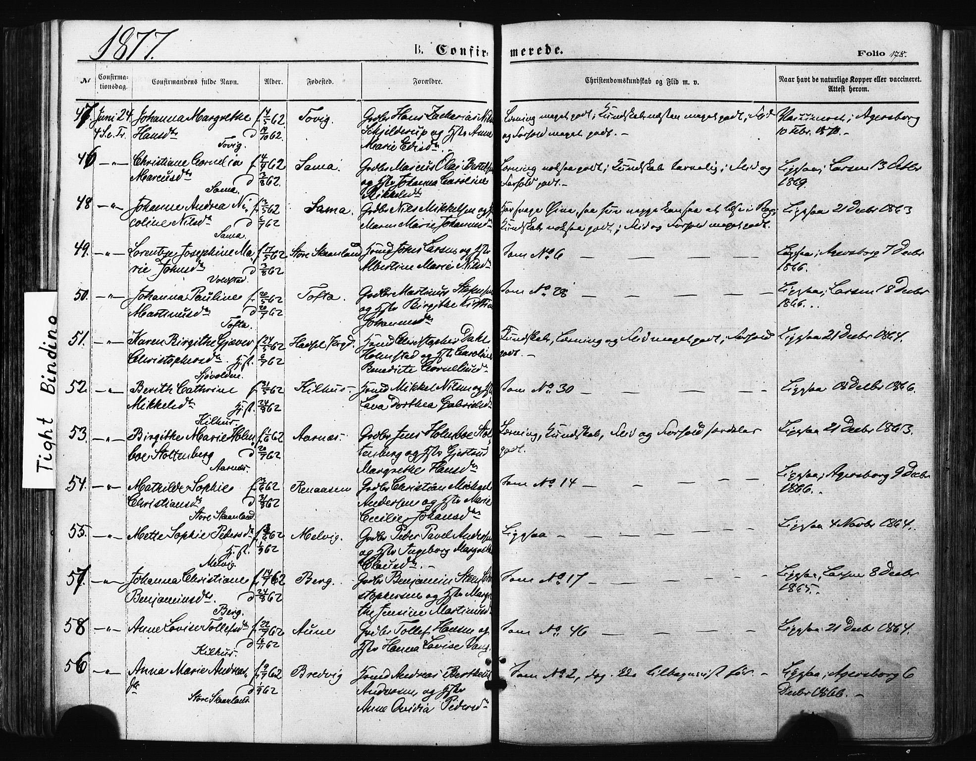 Trondenes sokneprestkontor, SATØ/S-1319/H/Ha/L0013kirke: Parish register (official) no. 13, 1870-1878, p. 178