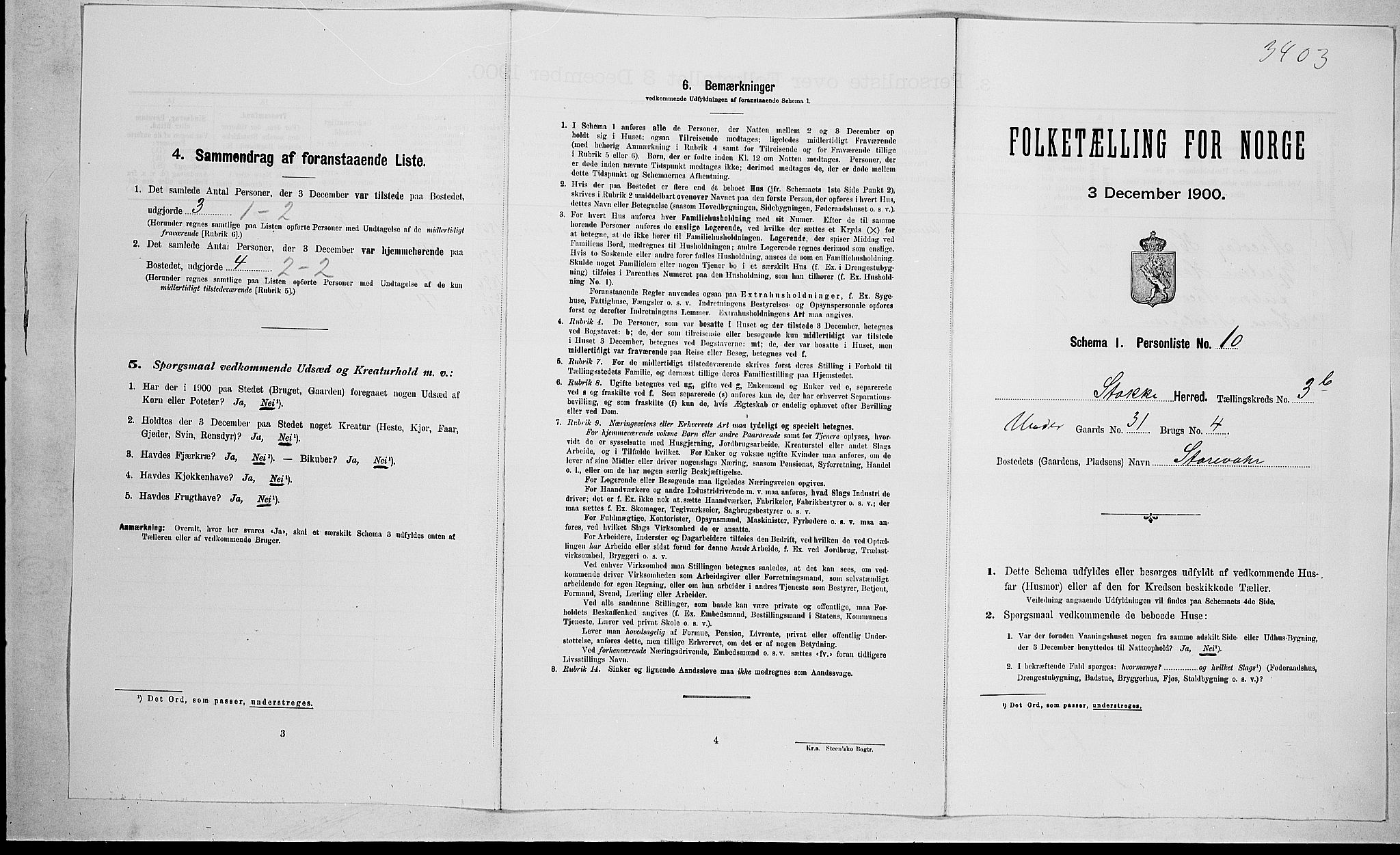 RA, 1900 census for Stokke, 1900, p. 699