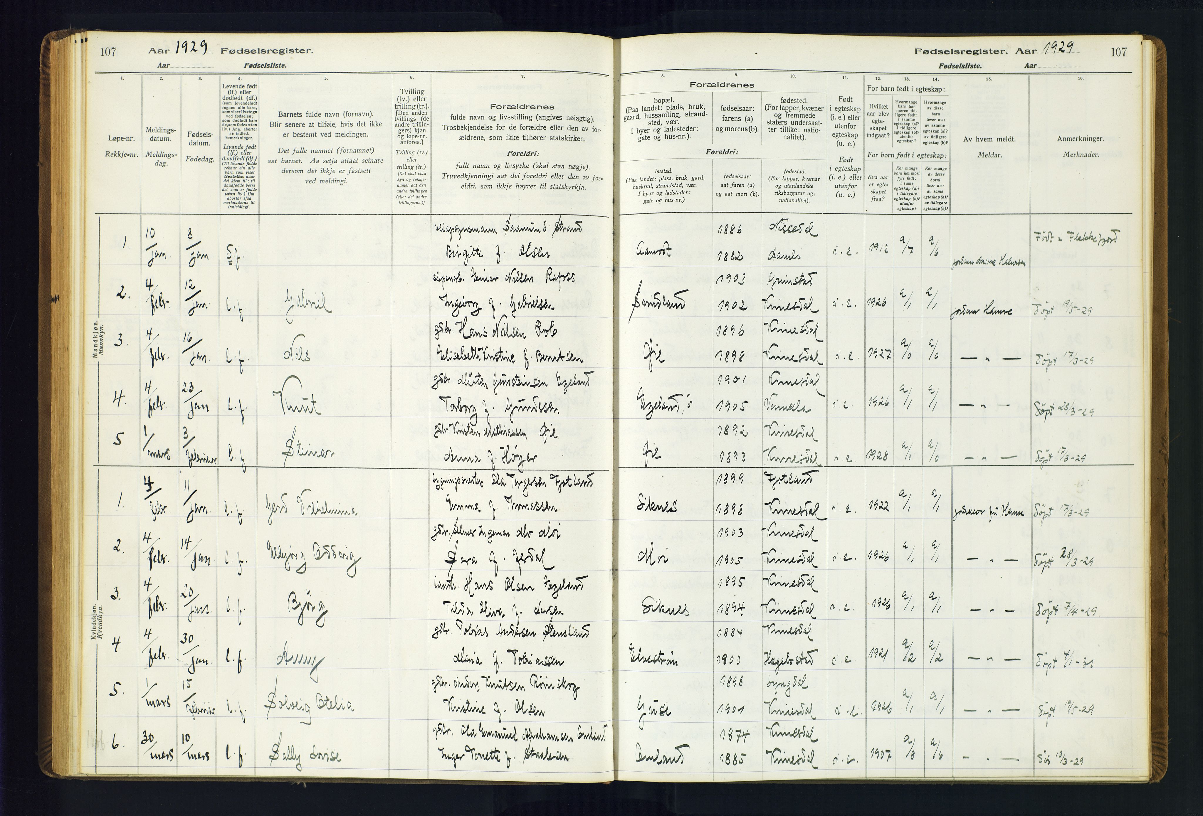 Kvinesdal sokneprestkontor, AV/SAK-1111-0026/J/Ja/L0001: Birth register no. 1, 1916-1941, p. 107