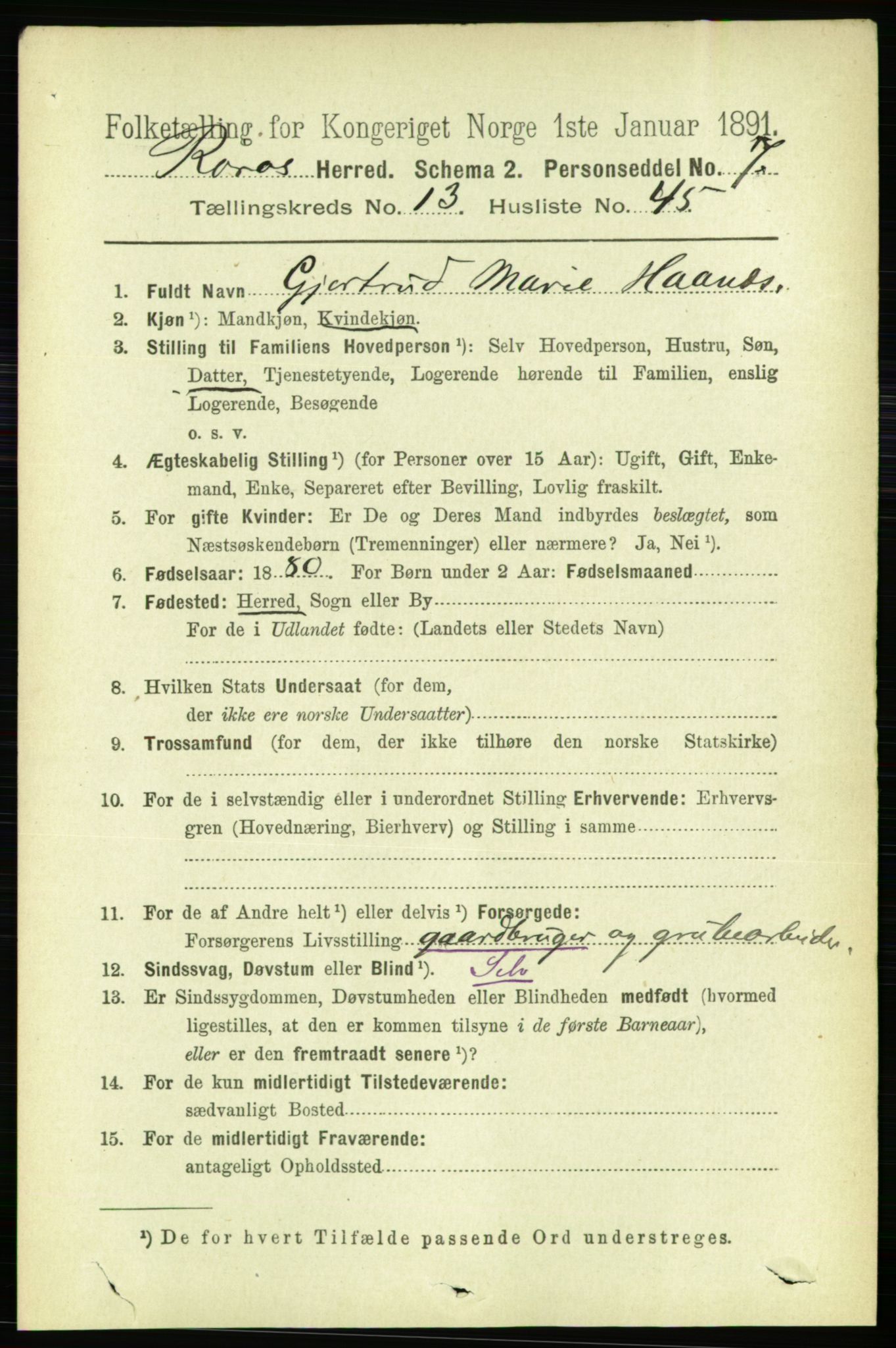 RA, 1891 census for 1640 Røros, 1891, p. 2796