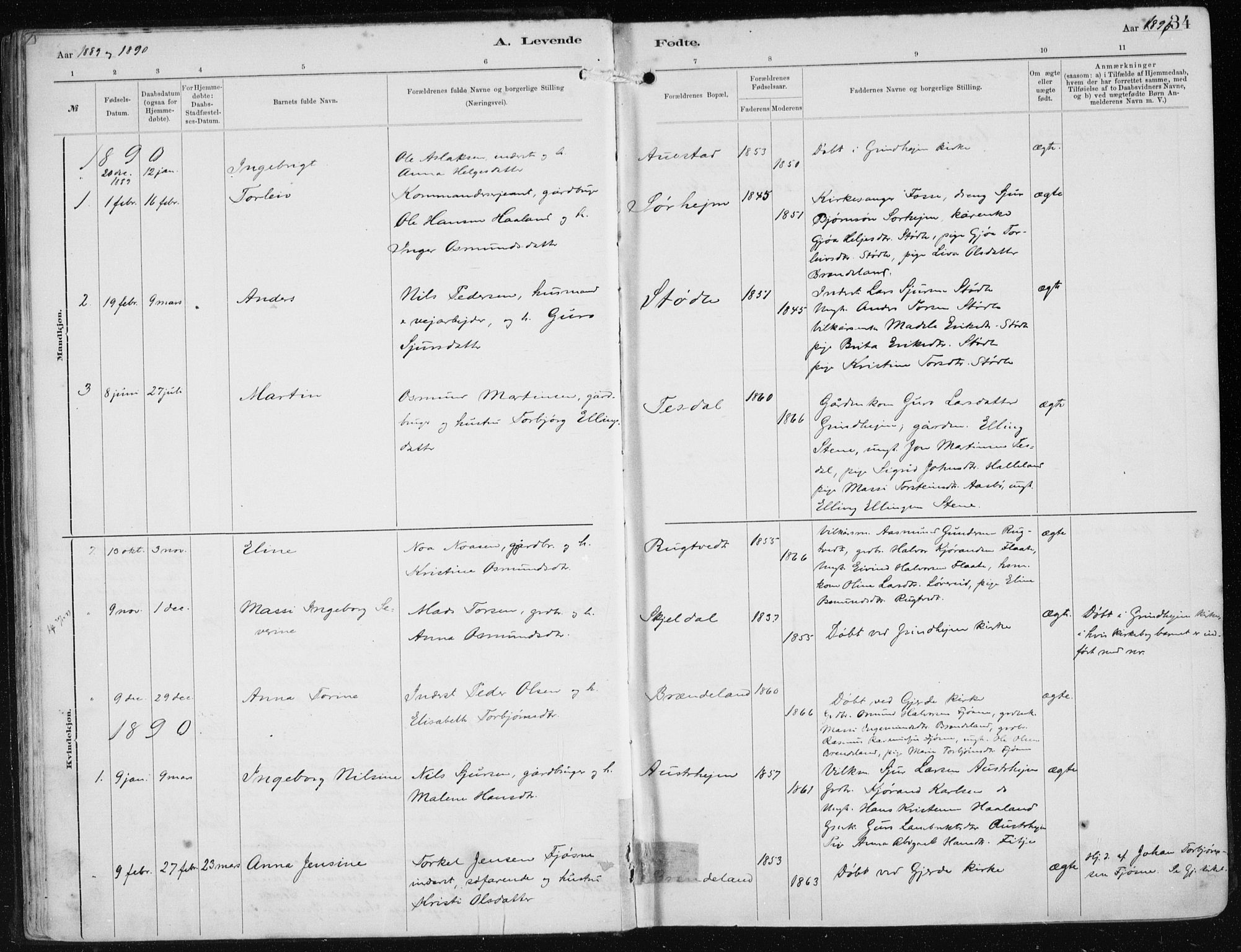 Etne sokneprestembete, AV/SAB-A-75001/H/Haa: Parish register (official) no. B  1, 1879-1919, p. 34