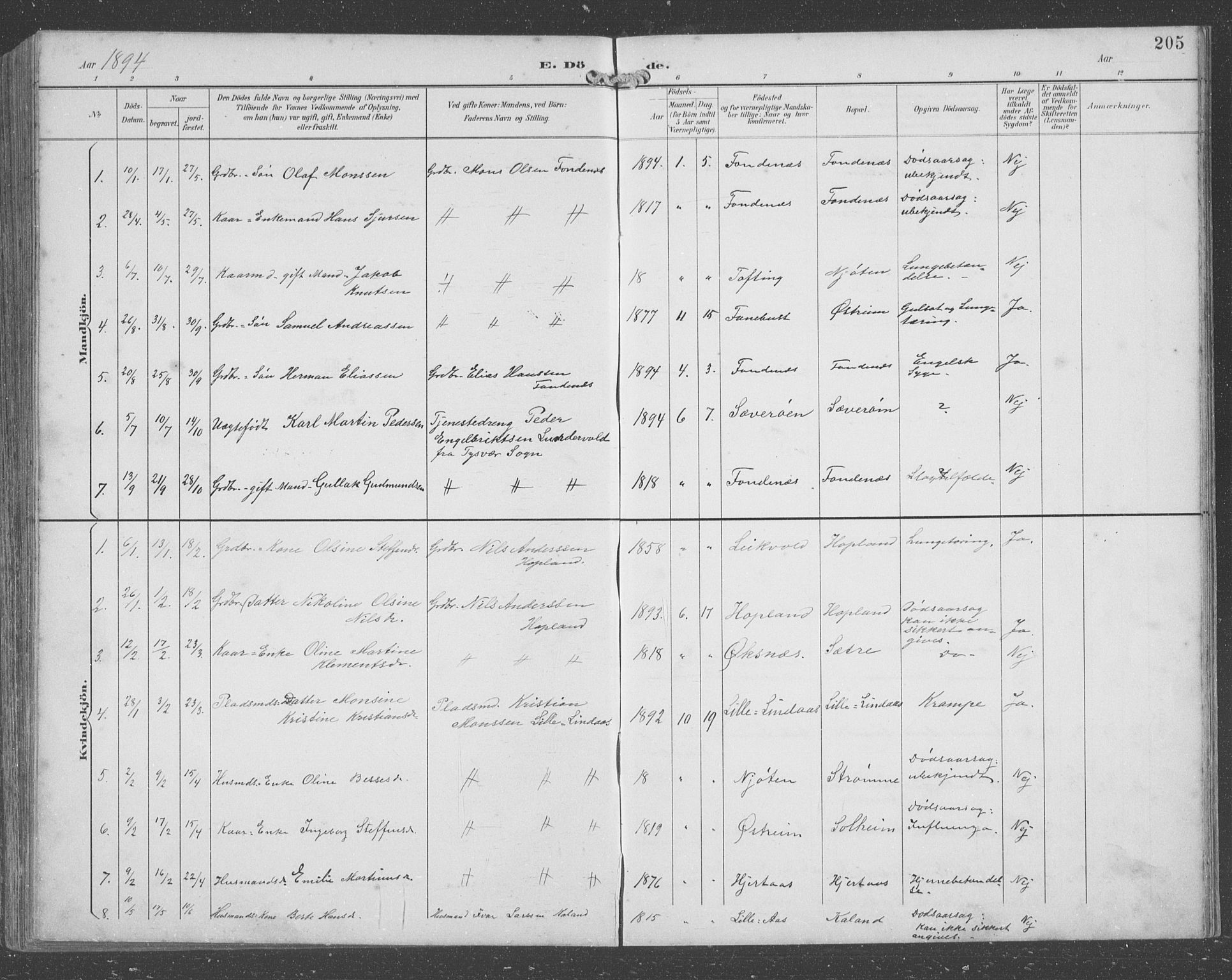 Lindås Sokneprestembete, SAB/A-76701/H/Hab: Parish register (copy) no. C 4, 1894-1910, p. 205