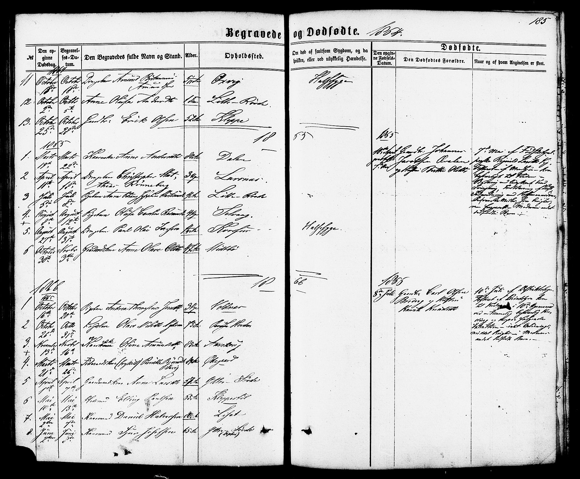 Ministerialprotokoller, klokkerbøker og fødselsregistre - Møre og Romsdal, SAT/A-1454/504/L0055: Parish register (official) no. 504A02, 1861-1884, p. 185