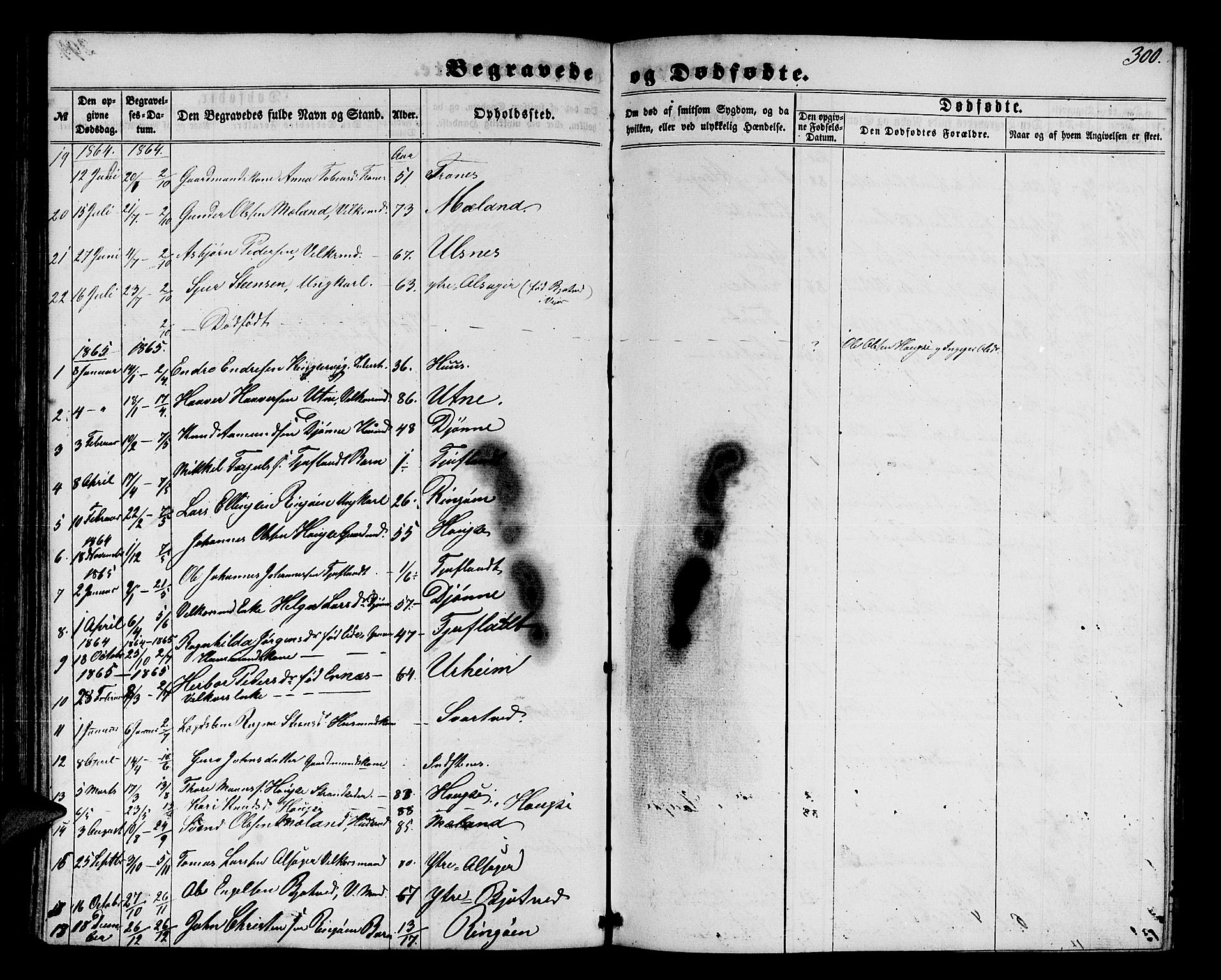 Ullensvang sokneprestembete, SAB/A-78701/H/Hab: Parish register (copy) no. E 6, 1857-1886, p. 300