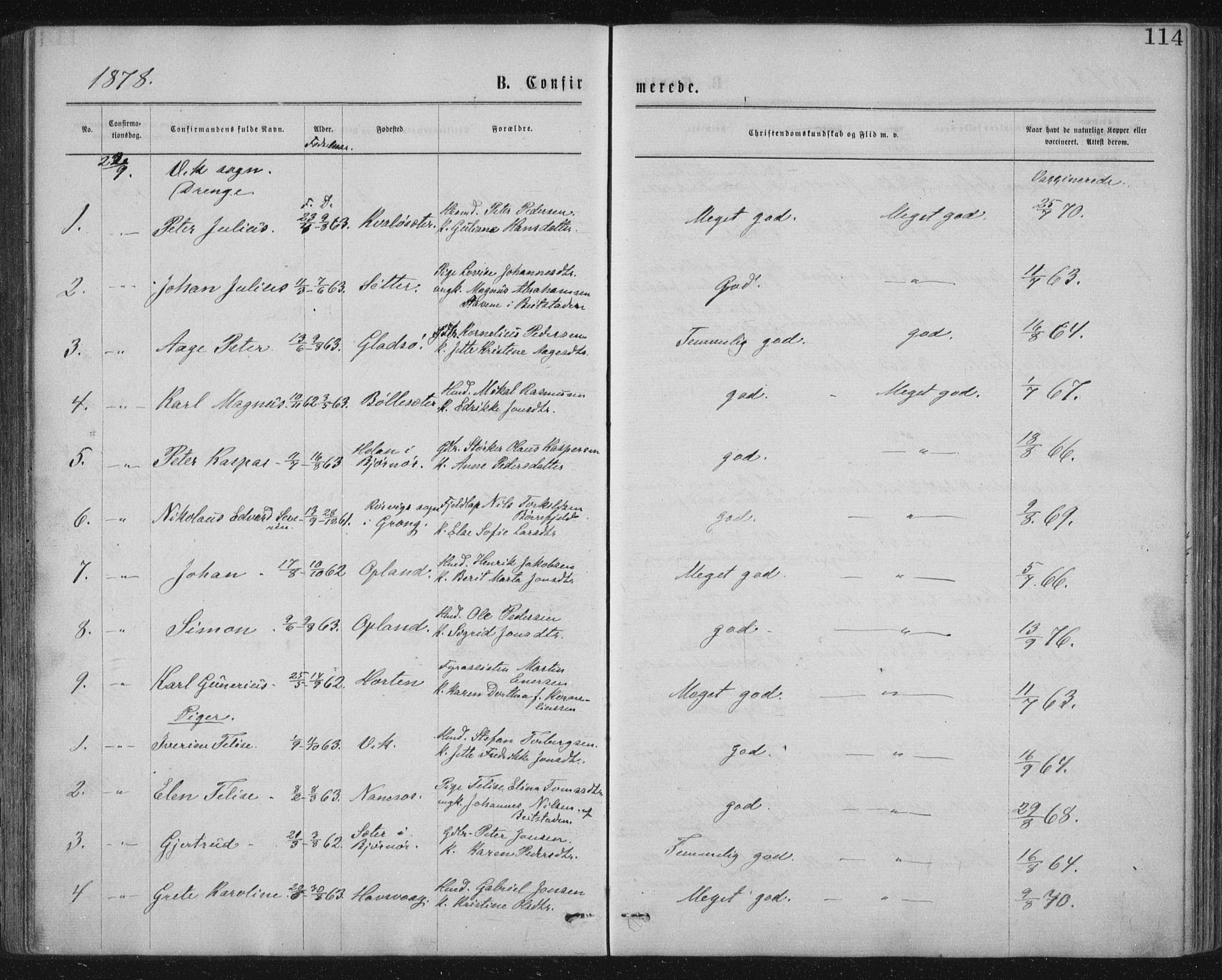 Ministerialprotokoller, klokkerbøker og fødselsregistre - Nord-Trøndelag, SAT/A-1458/771/L0596: Parish register (official) no. 771A03, 1870-1884, p. 114