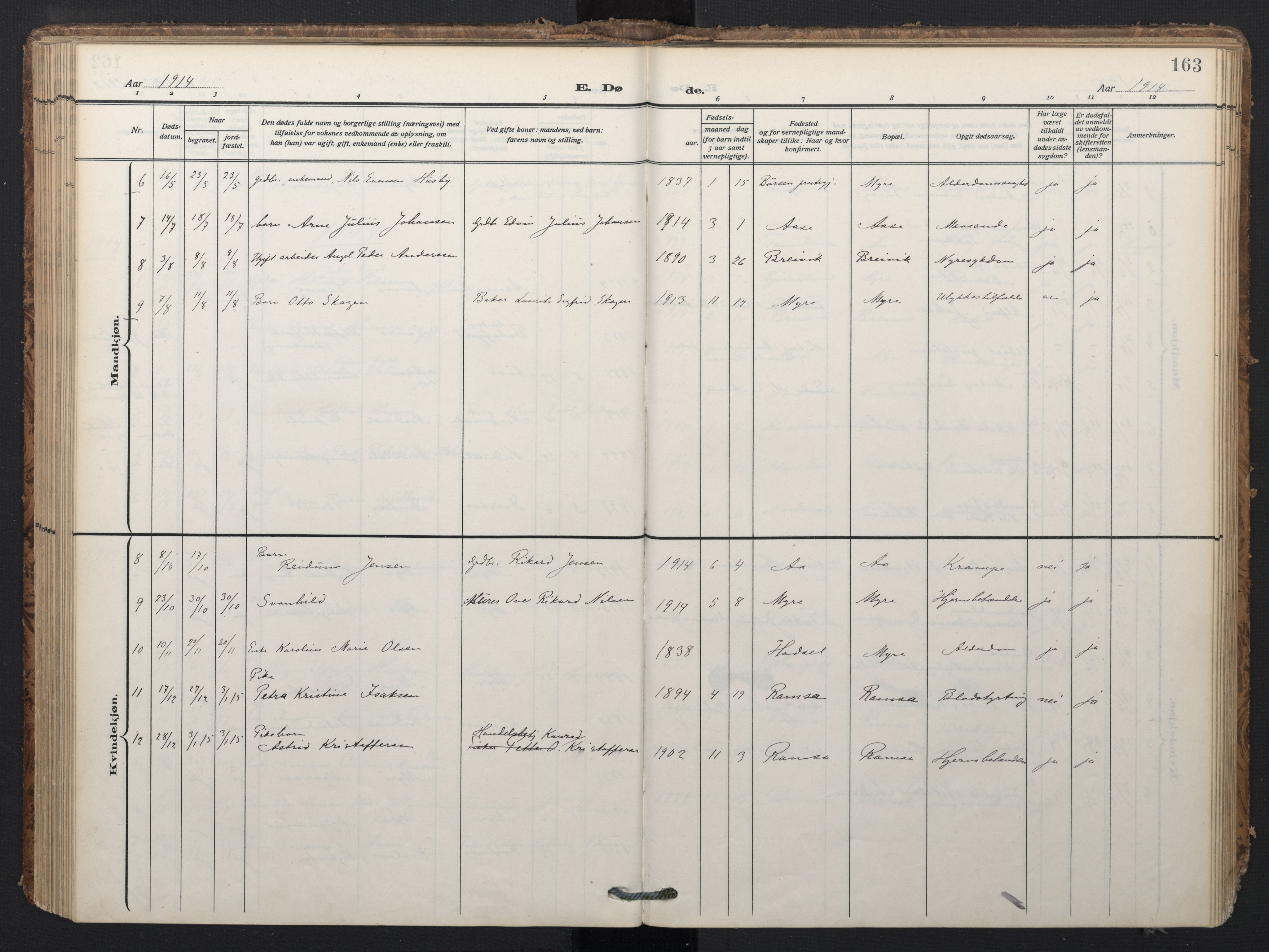 Ministerialprotokoller, klokkerbøker og fødselsregistre - Nordland, SAT/A-1459/897/L1401: Parish register (official) no. 897A08, 1909-1921, p. 163